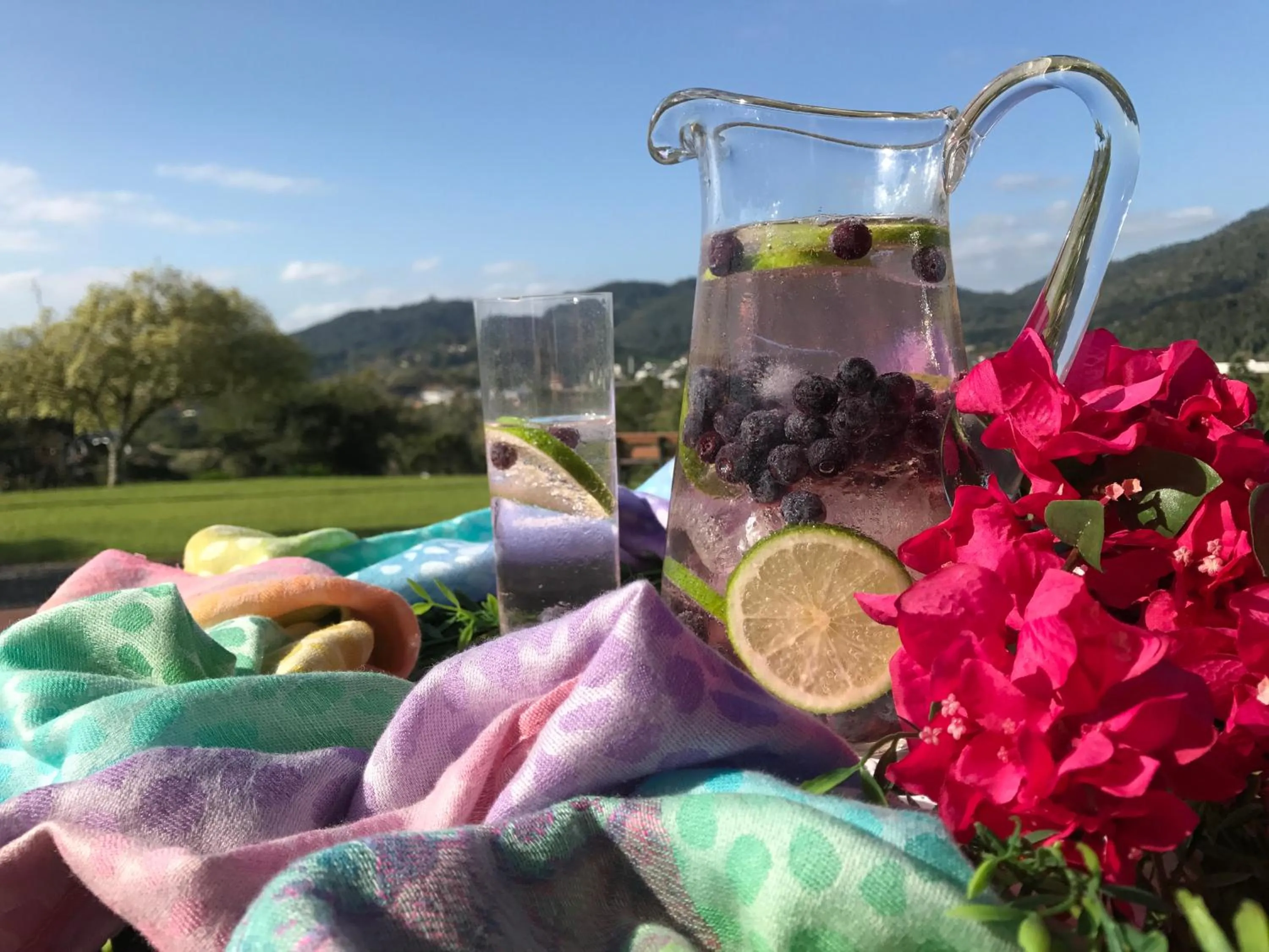 Balcony/Terrace in Hotel Bergblick