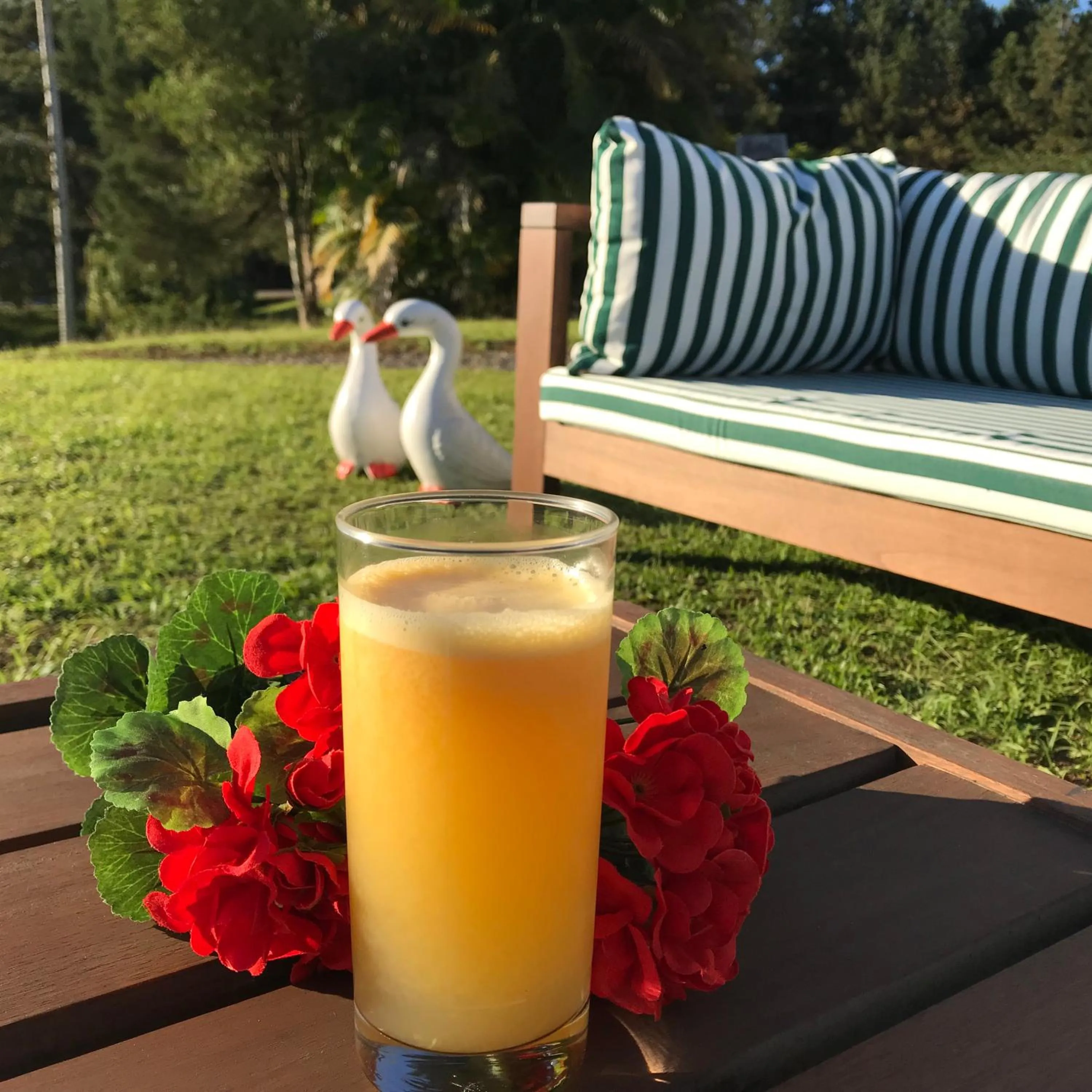 Garden in Hotel Bergblick