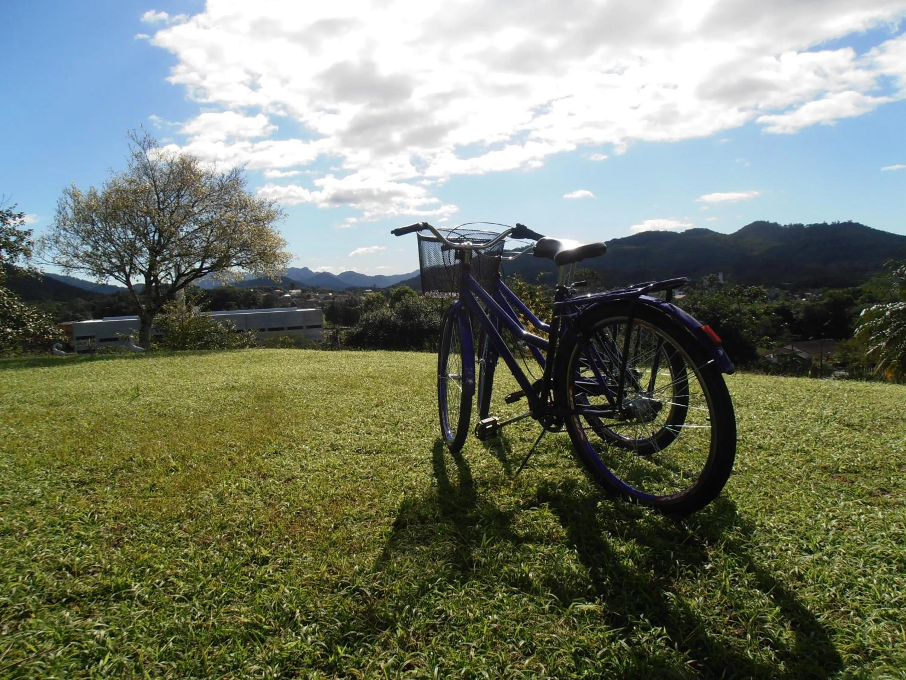 Activities in Hotel Bergblick