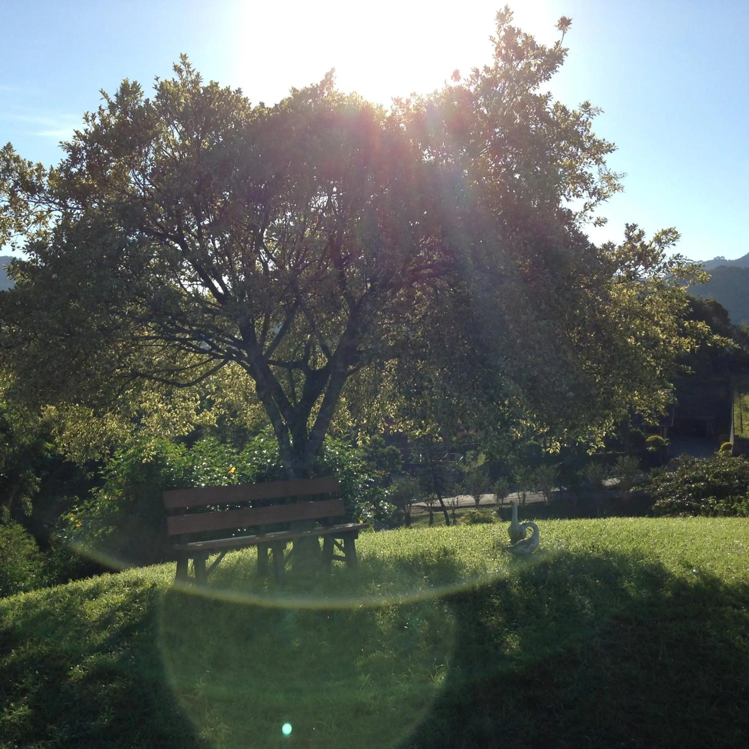 Garden in Hotel Bergblick
