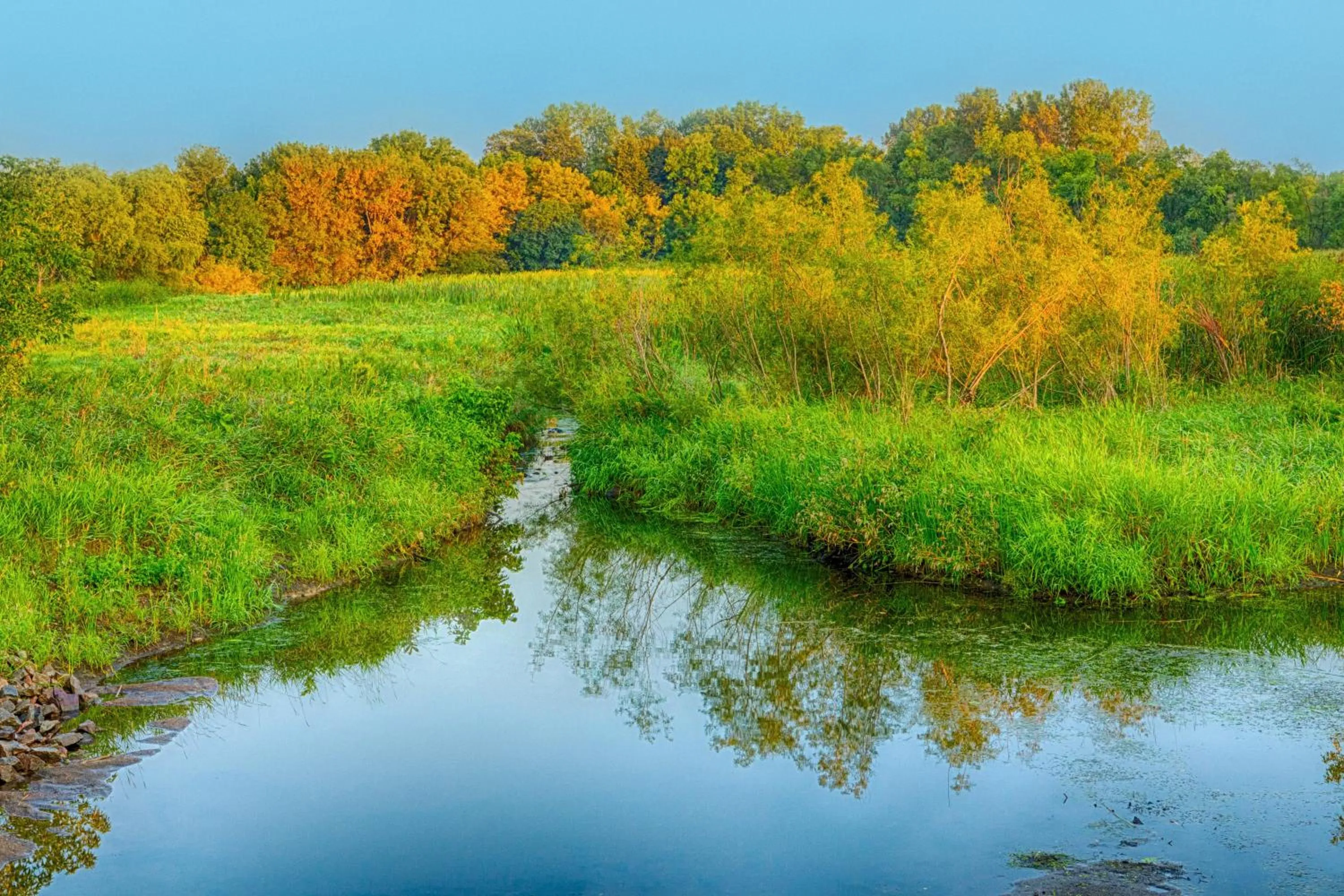 Other in Crowne Plaza Minneapolis West by IHG