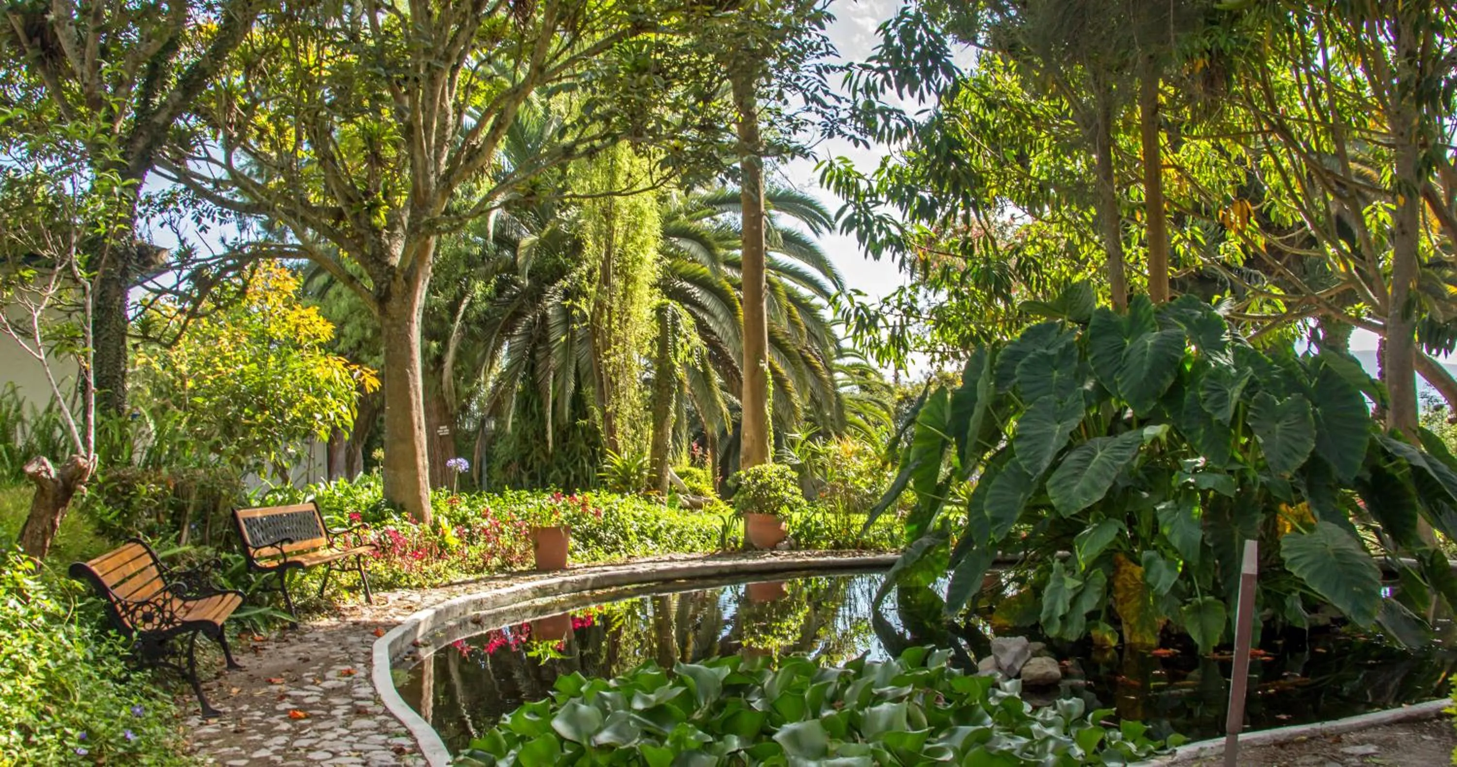 Garden in Hacienda Hosteria Chorlavi