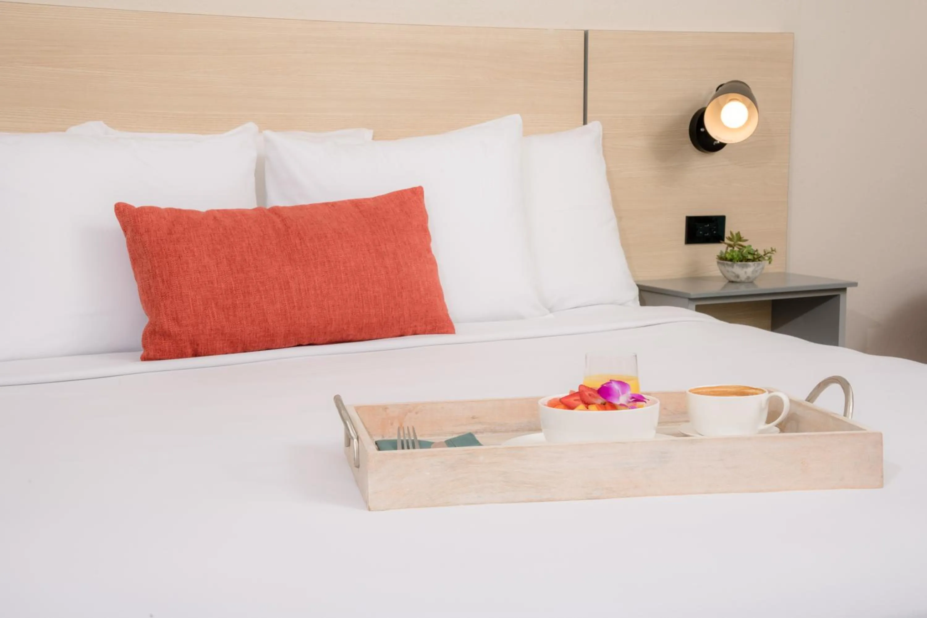 Poolside King Room in Verdanza Hotel