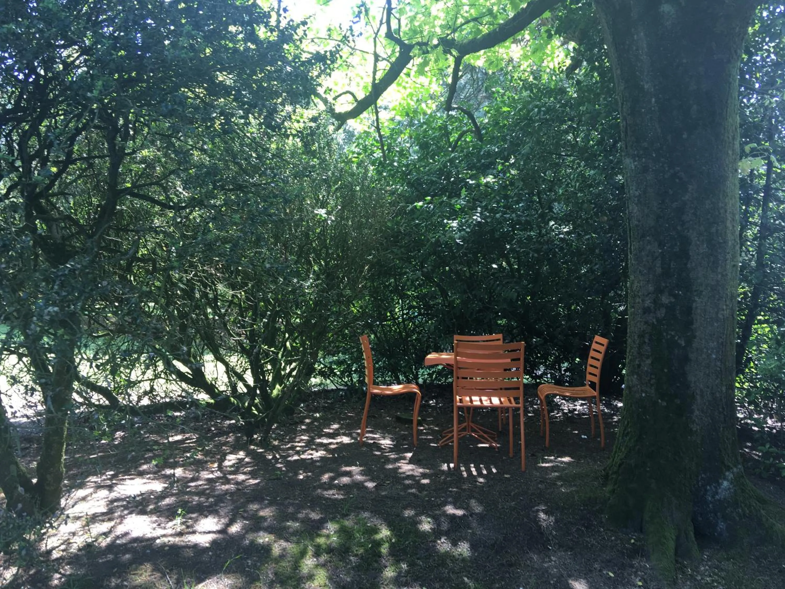 Garden in Le Château des Tourelles en Vendée