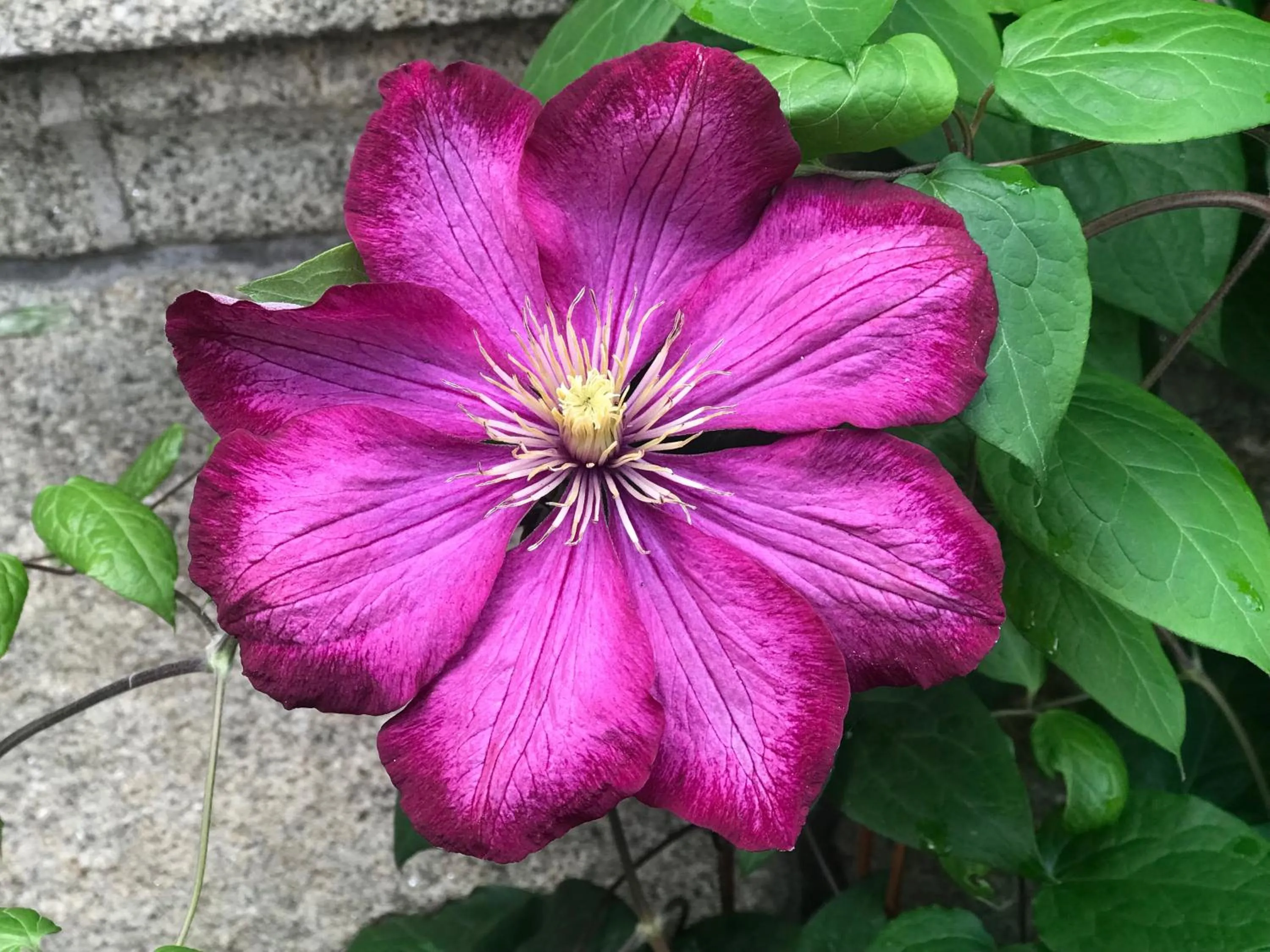 Patio in Le Château des Tourelles en Vendée