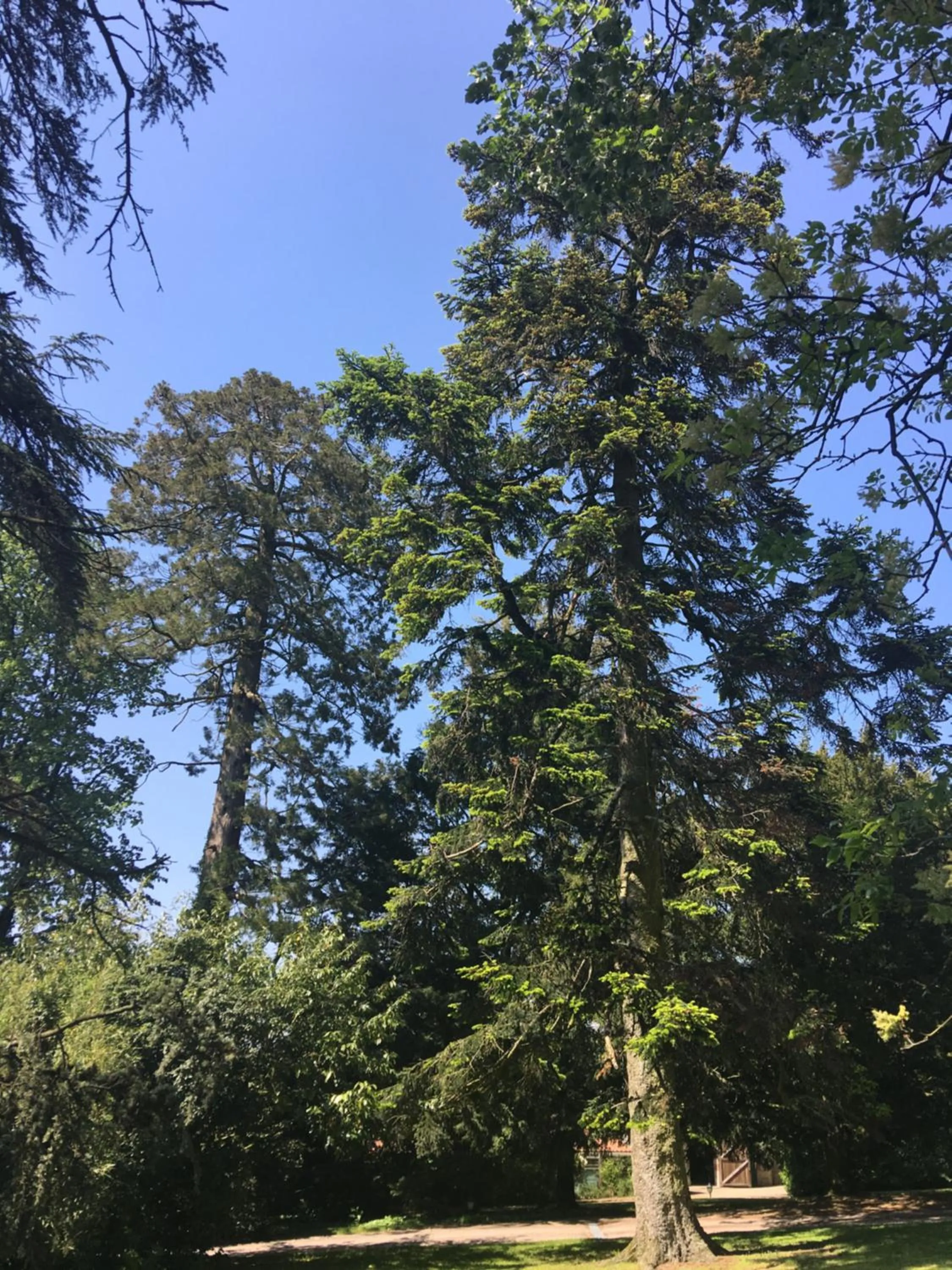 Garden in Le Château des Tourelles en Vendée