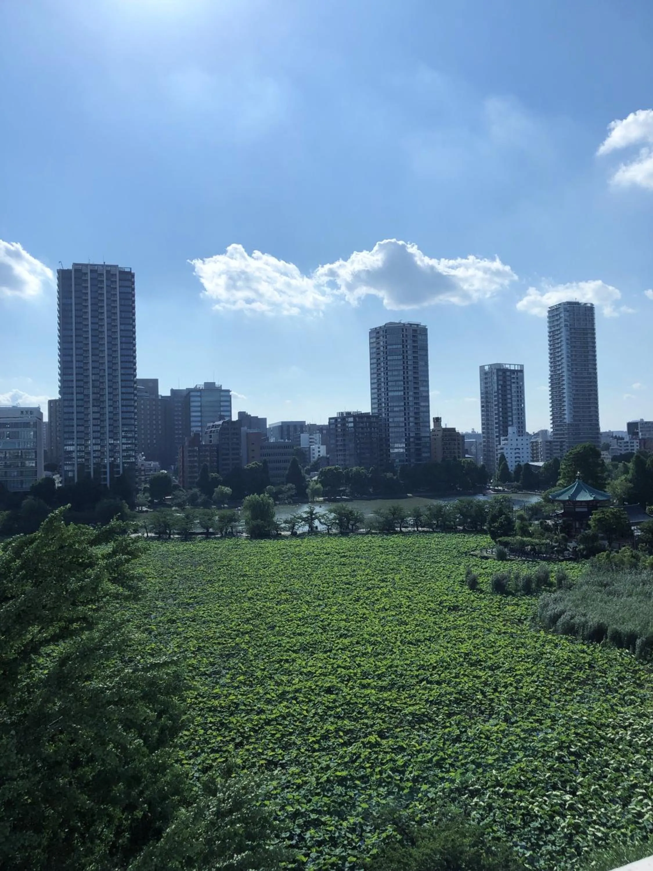 Neighbourhood in Outlet Hotel Ueno Ekimae