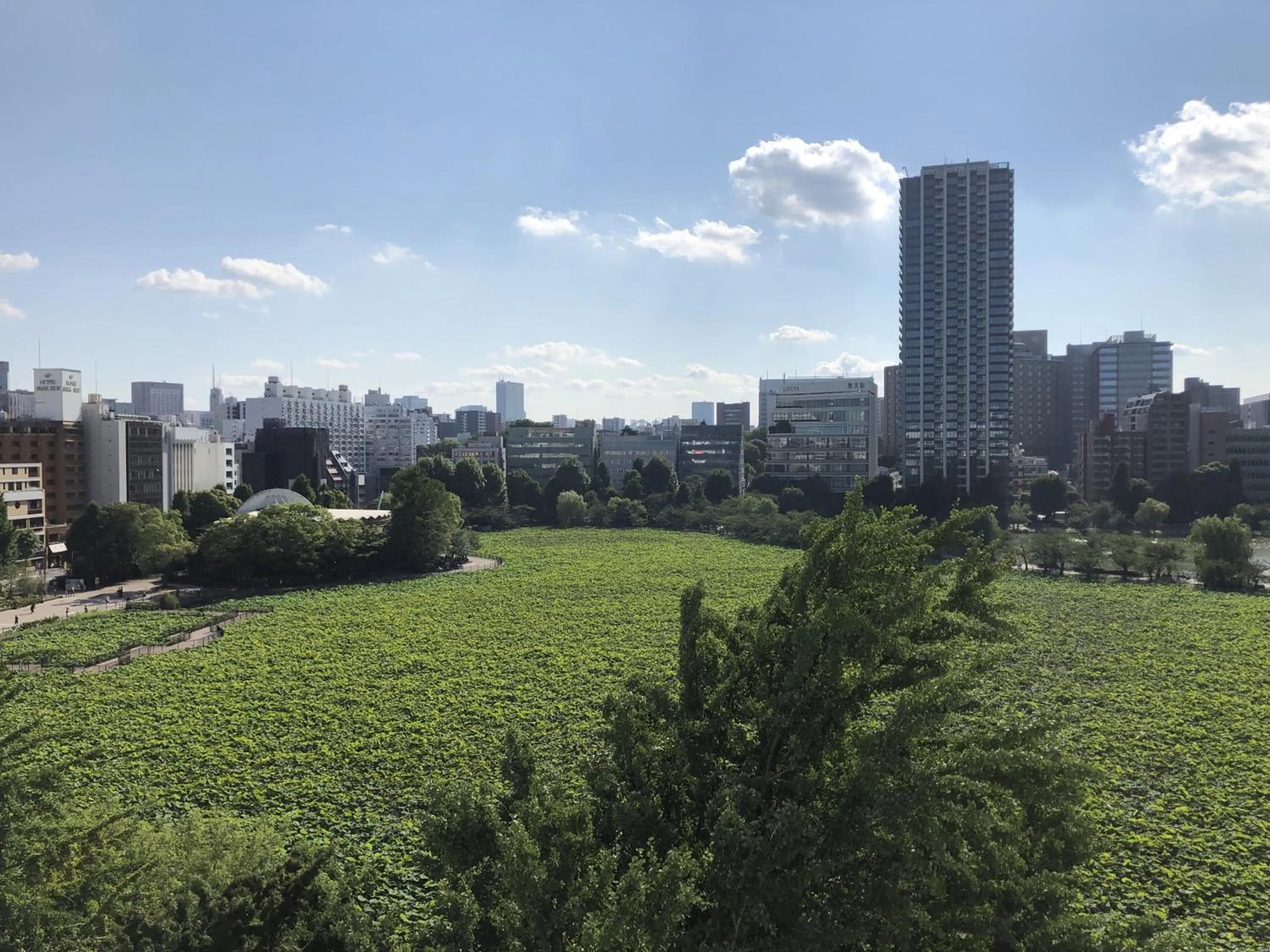 Neighbourhood in Outlet Hotel Ueno Ekimae