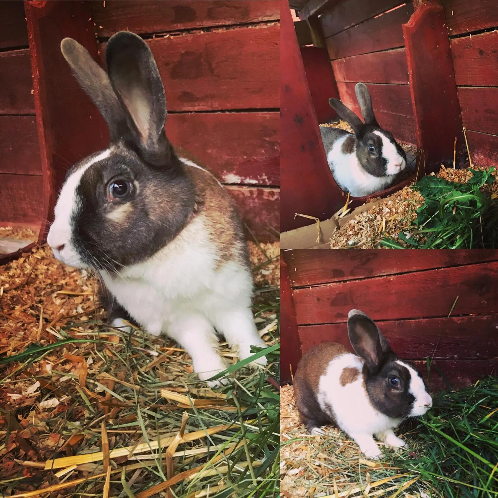 Brådtom Slusscafé & Stugor