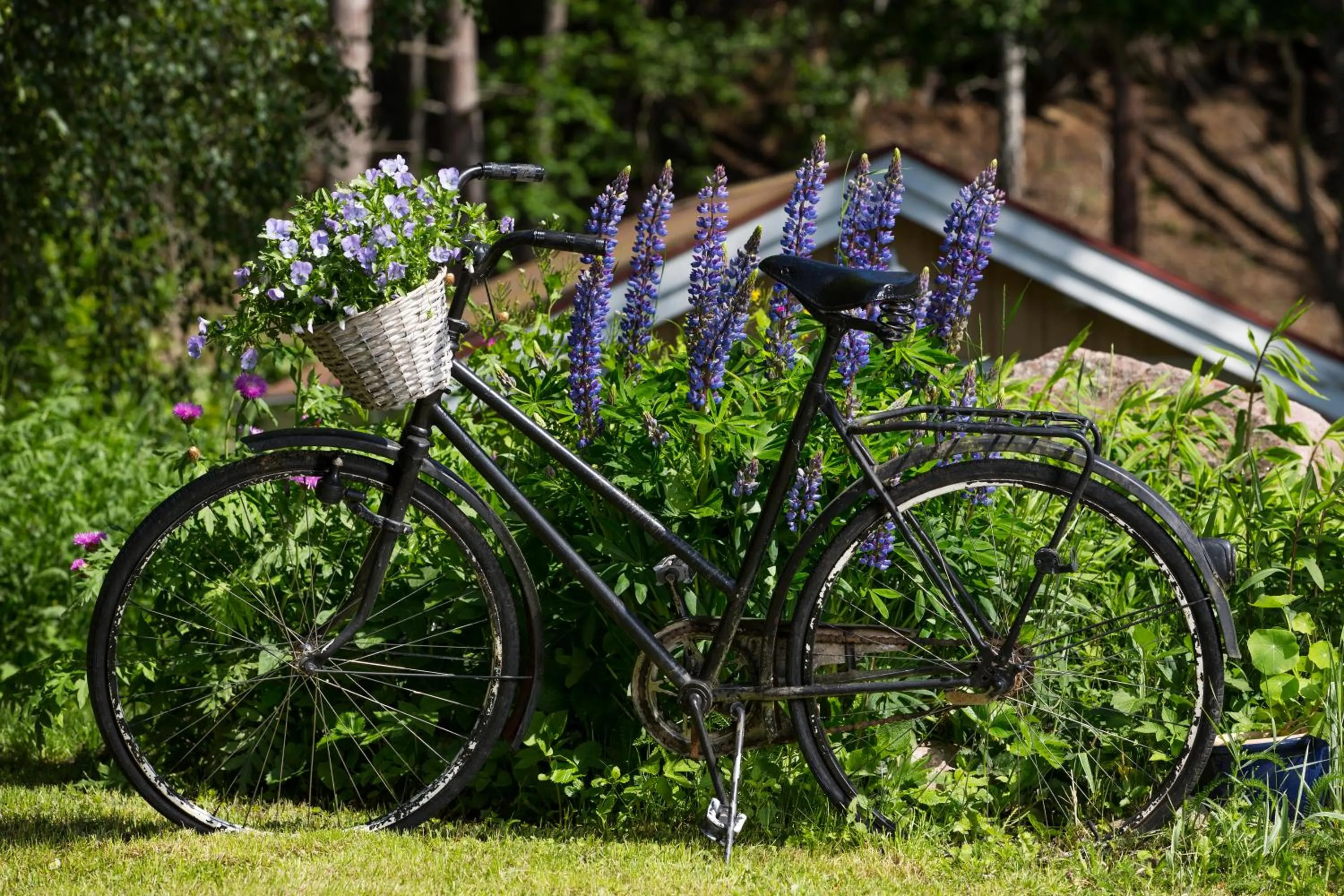 Brådtom Slusscafé & Stugor