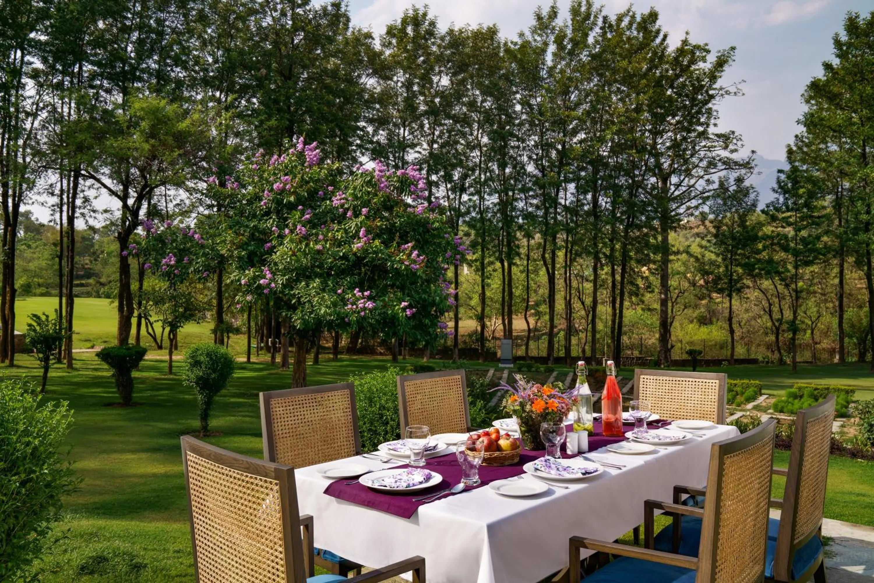 Restaurant/places to eat in Vivanta Katra Vaishno Devi