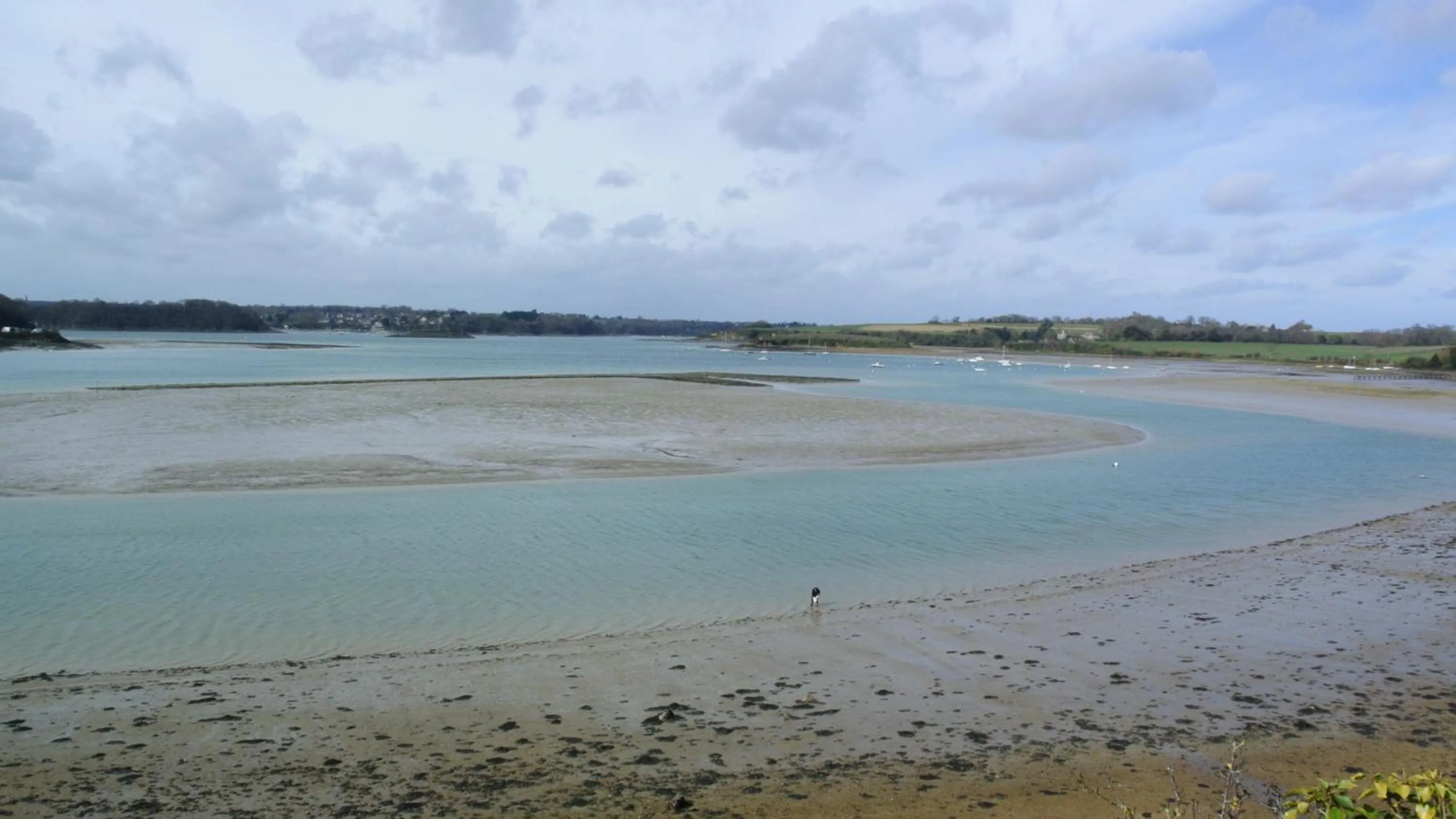 Au Logis De La Rance Bed and Breakfast