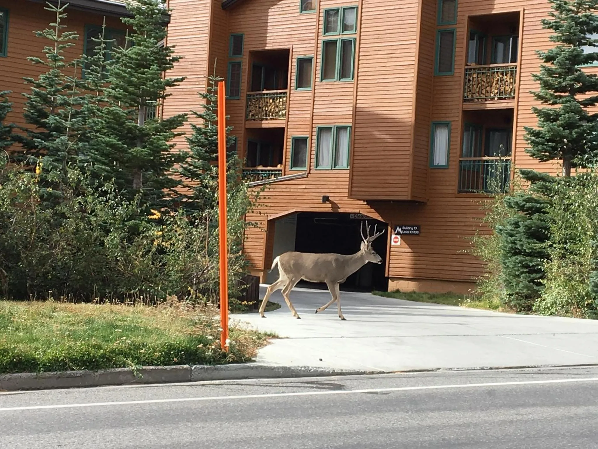 Other in Mountainback 48 Corner Unit