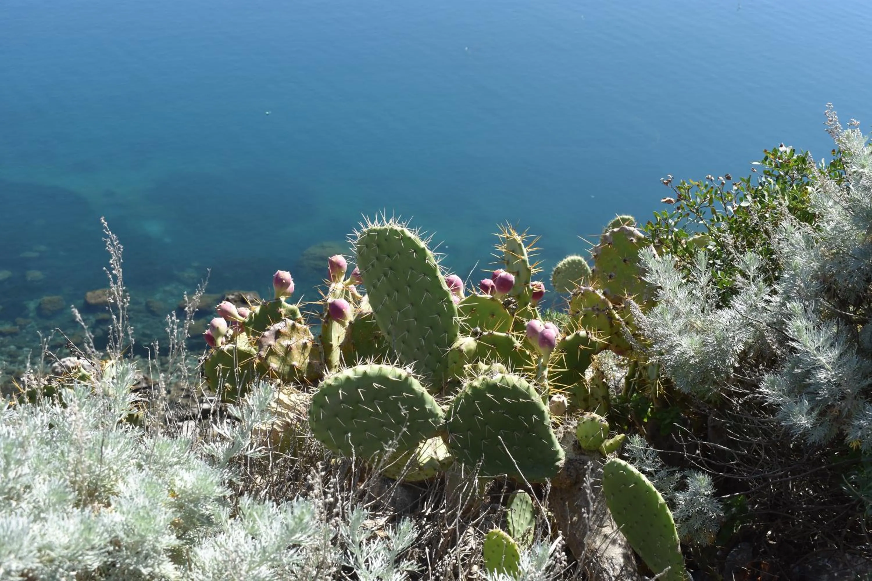 Nearby landmark in Upper - Boutique Hotel
