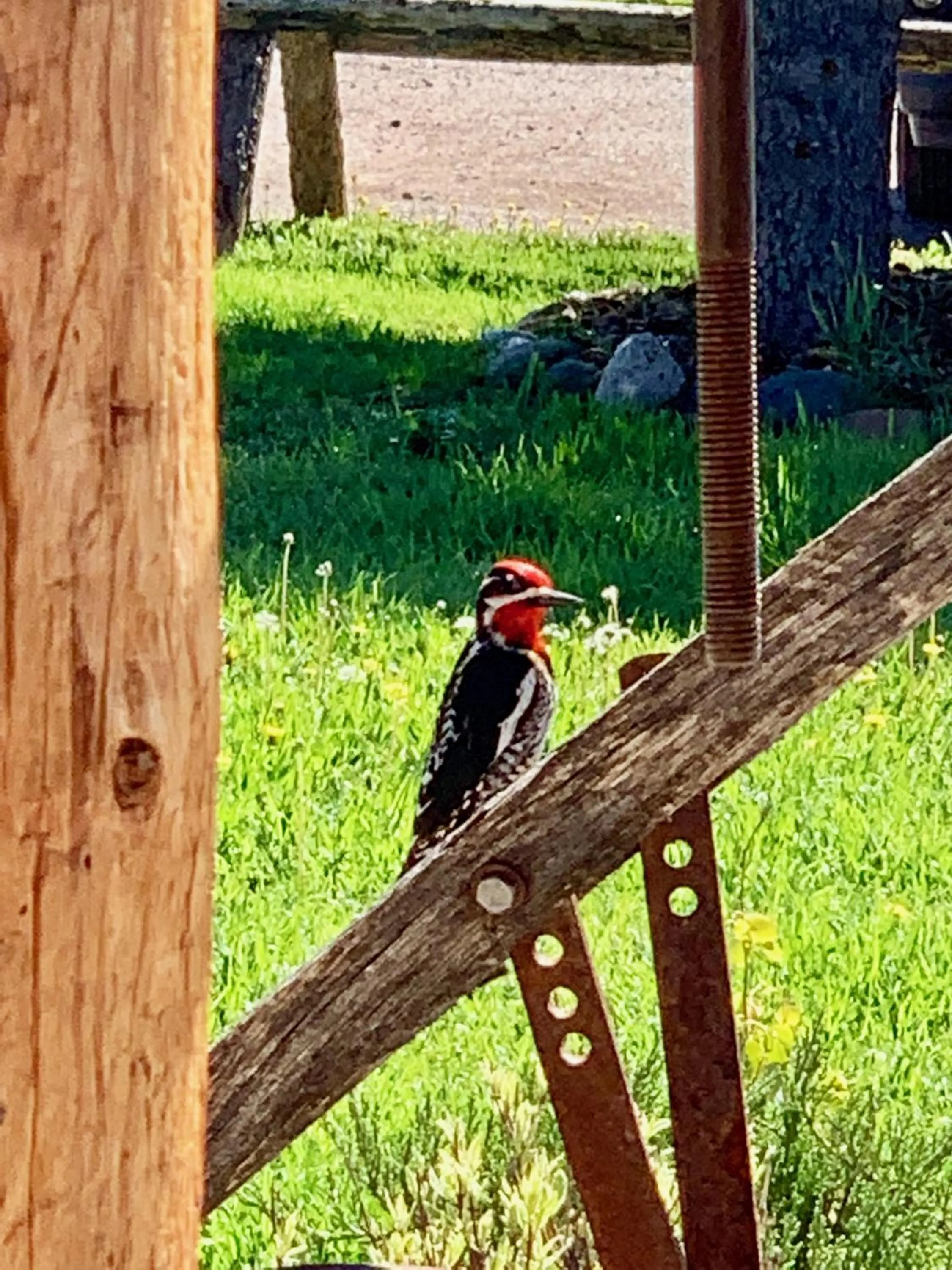 Buffalo Valley Ranch