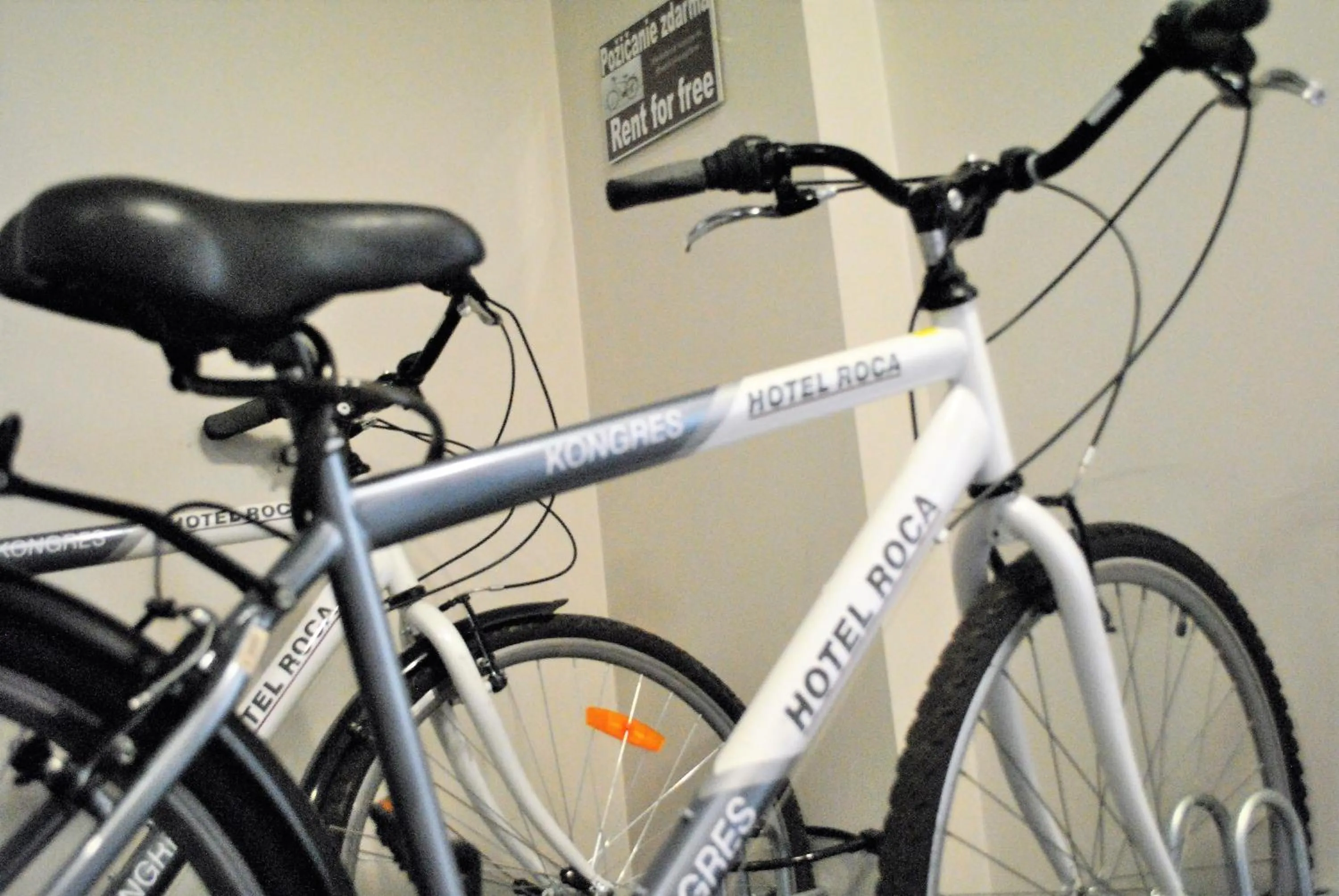 Cycling in Kongres Hotel Roca