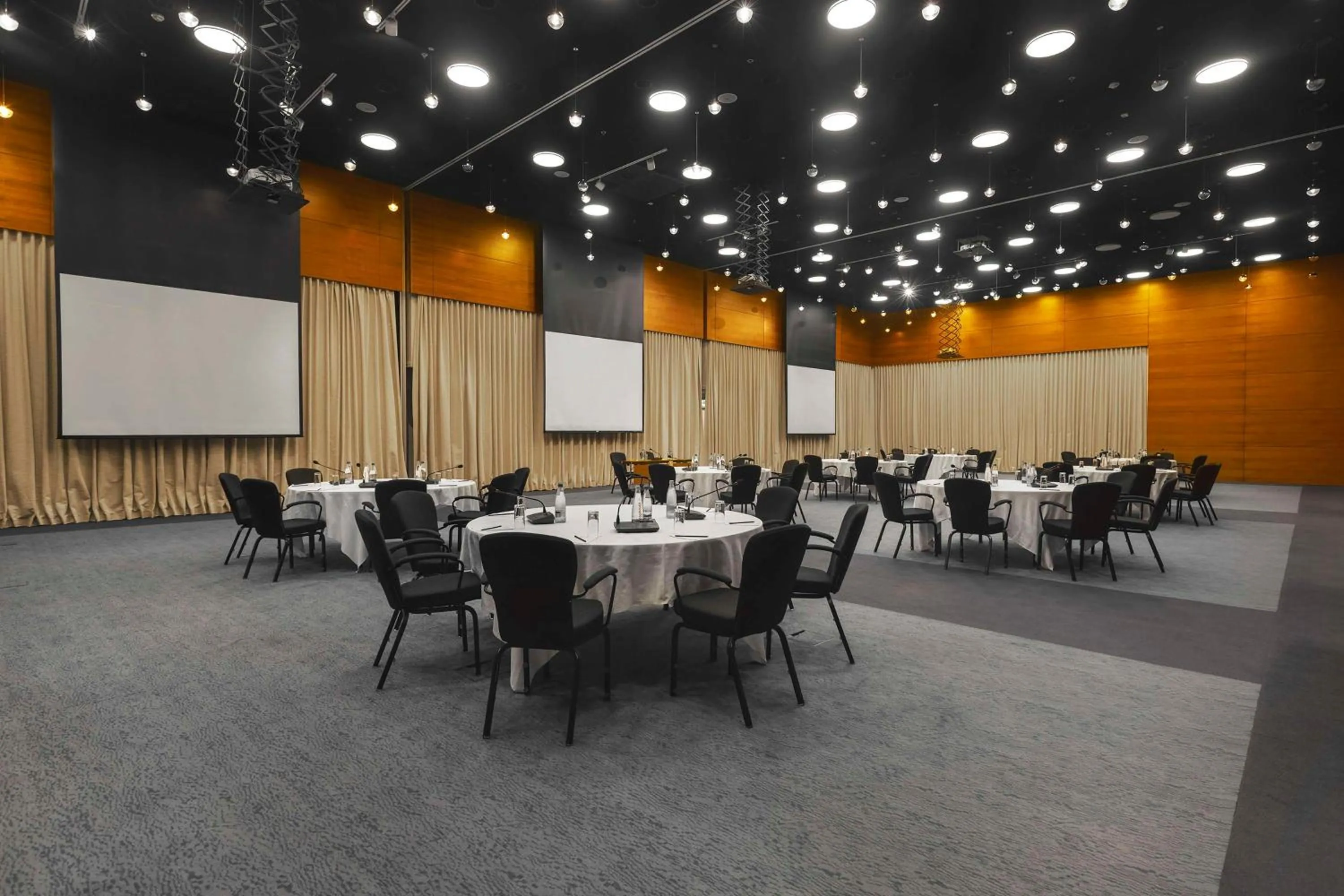 Meeting/conference room in Radisson Blu Iveria Hotel