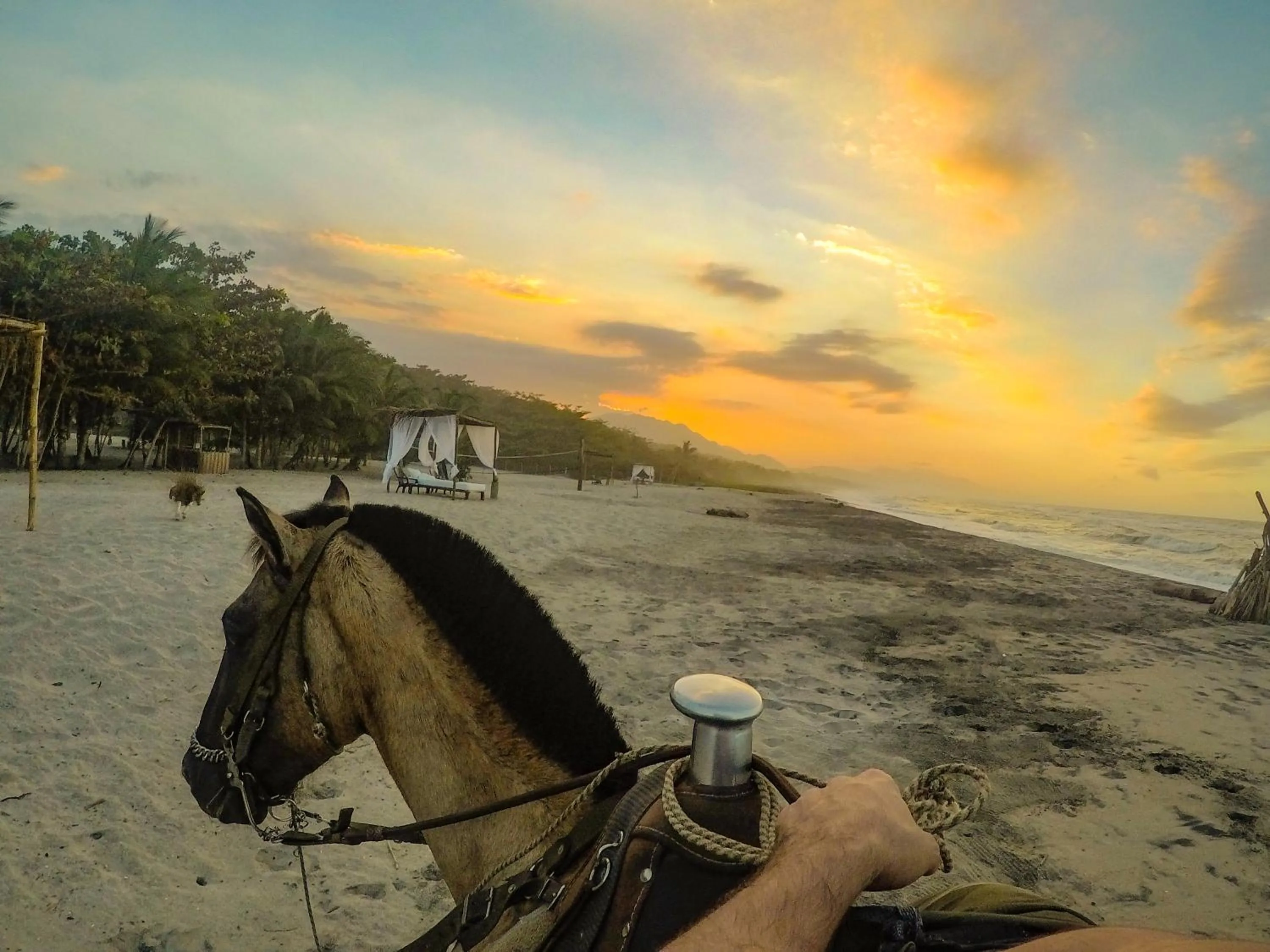 Horse-riding in Tay Beach Hotel Tayrona
