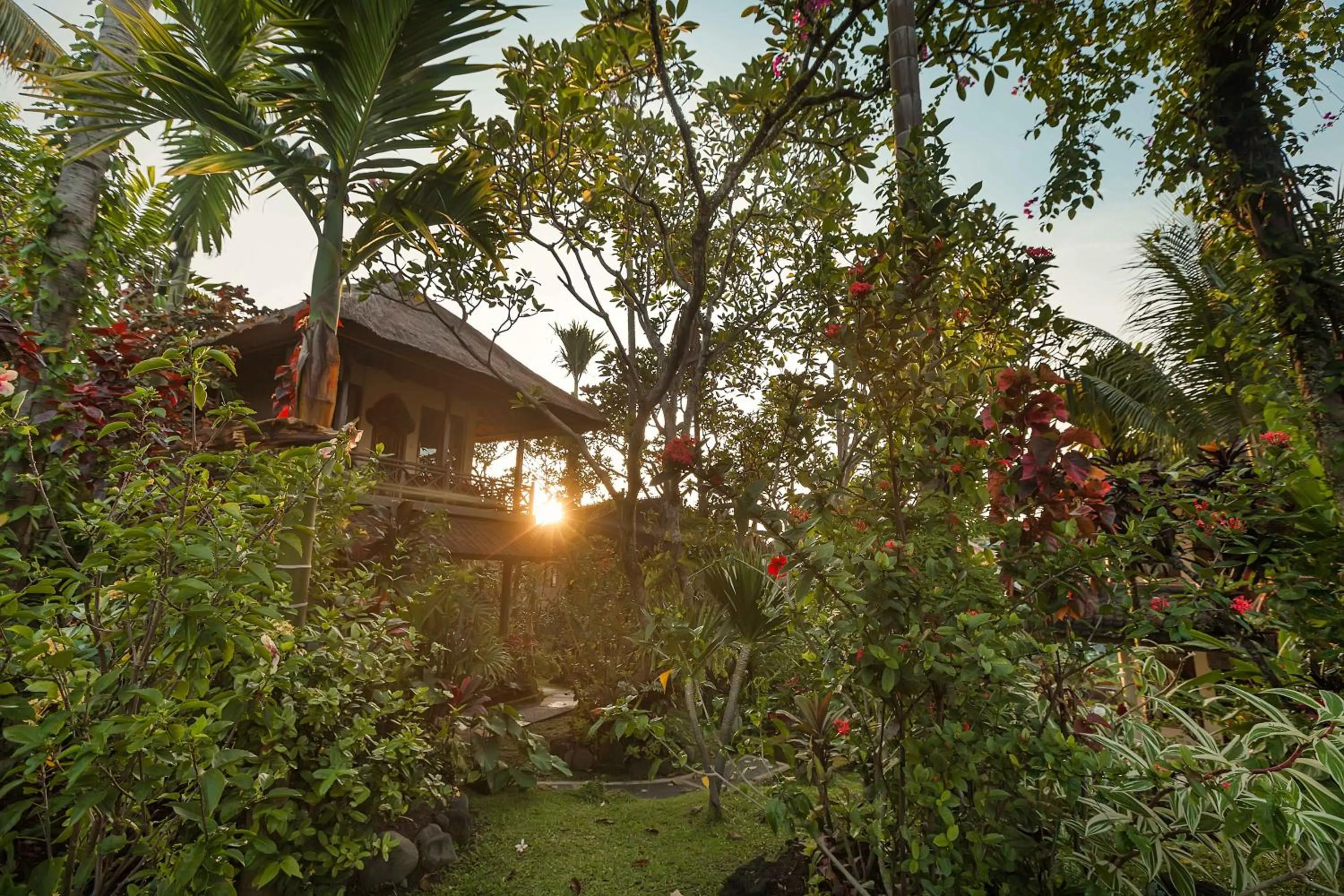 Garden in Ubud Inn Cottage by Prasi
