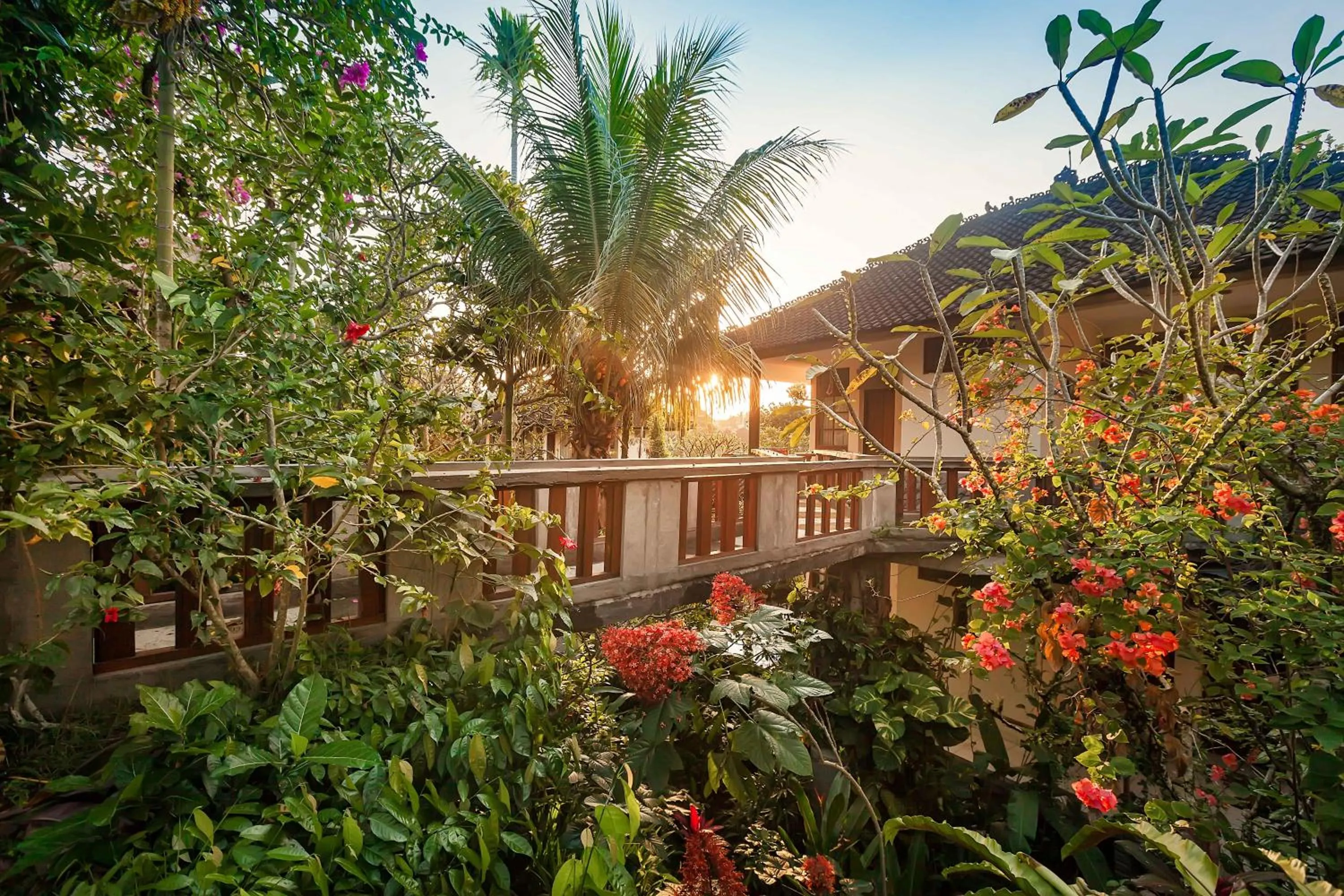 Natural landscape in Ubud Inn Cottage by Prasi