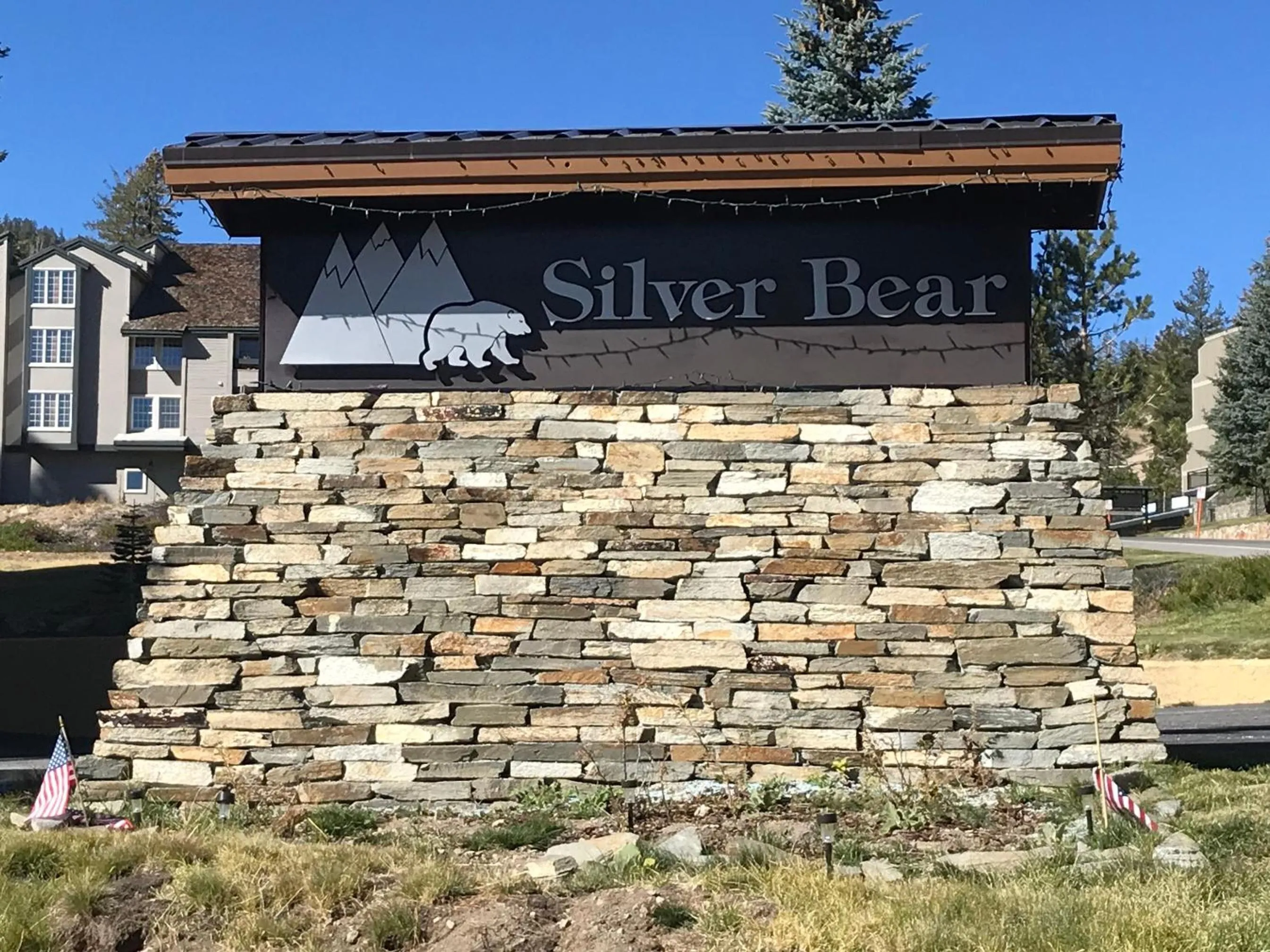 Silver Bear #40