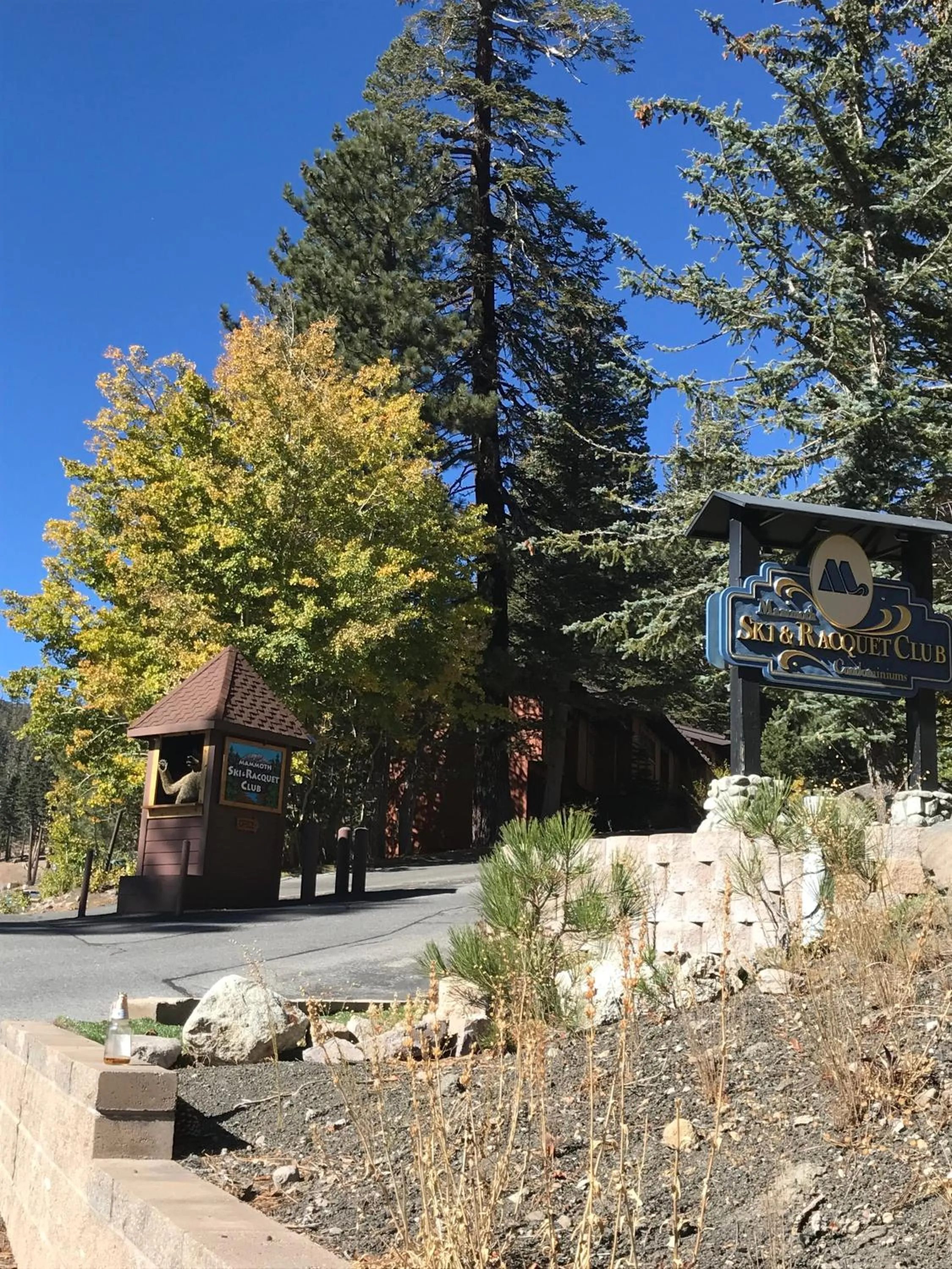 Other in Mammoth Ski Racquet Club 120 - Pet Friendly
