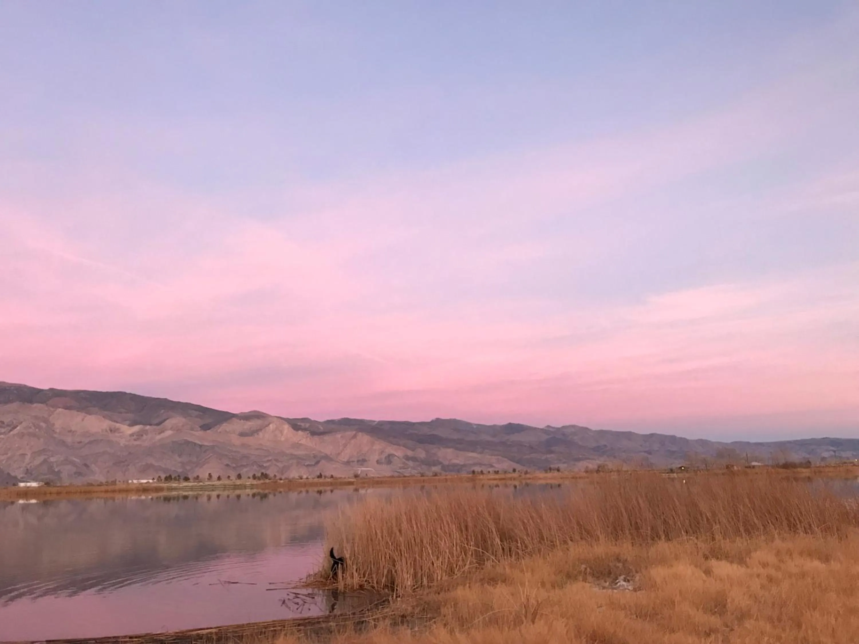 Mountainback #117, Loft