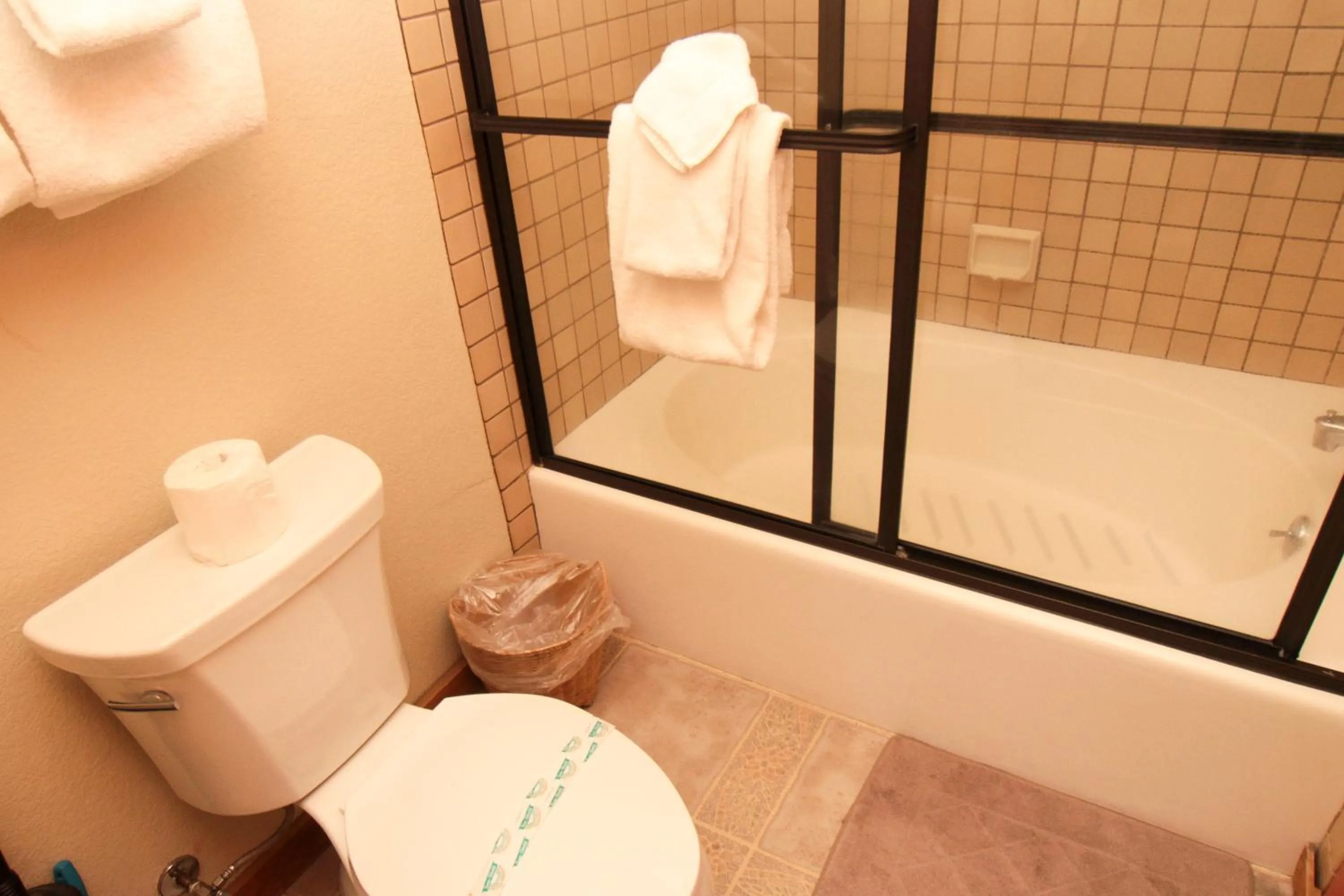 Other in Mountainback 105 Loft Den