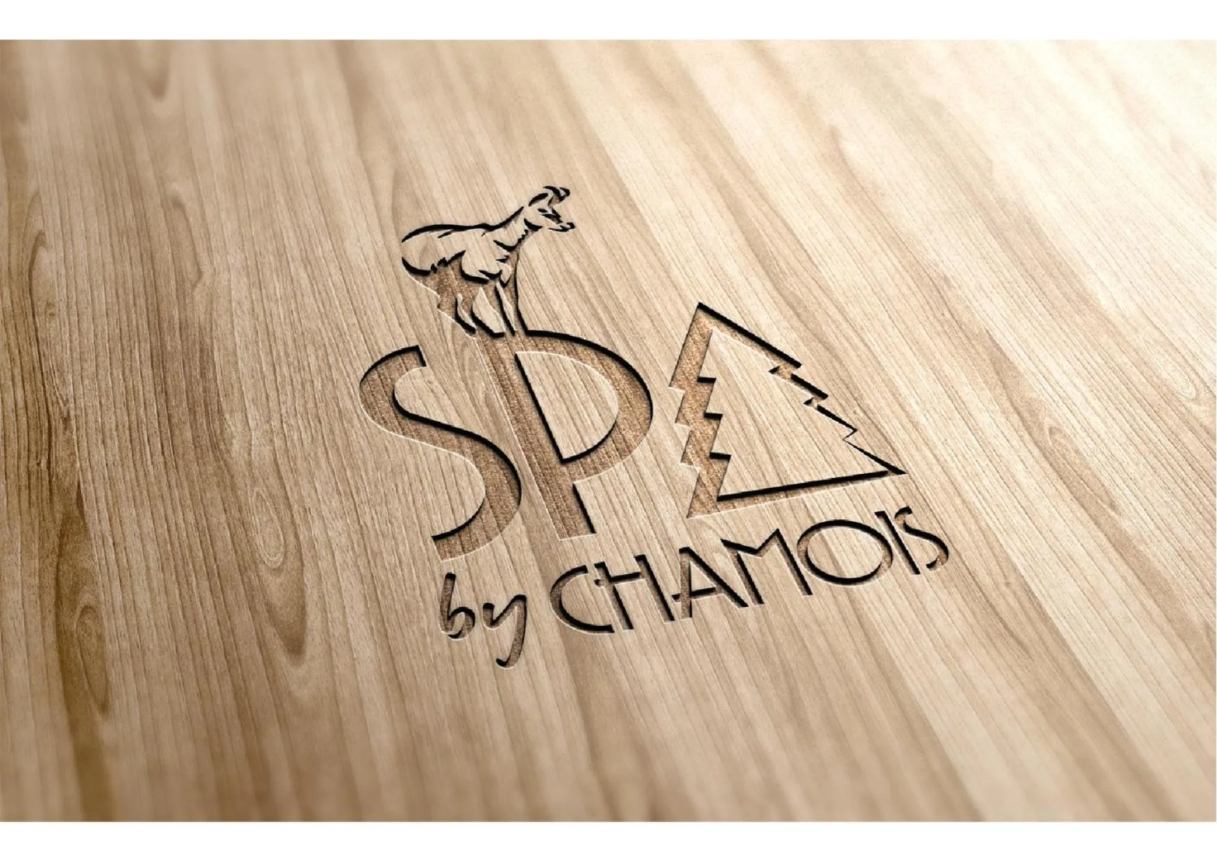 Spa and wellness centre/facilities in Chamois Lodge