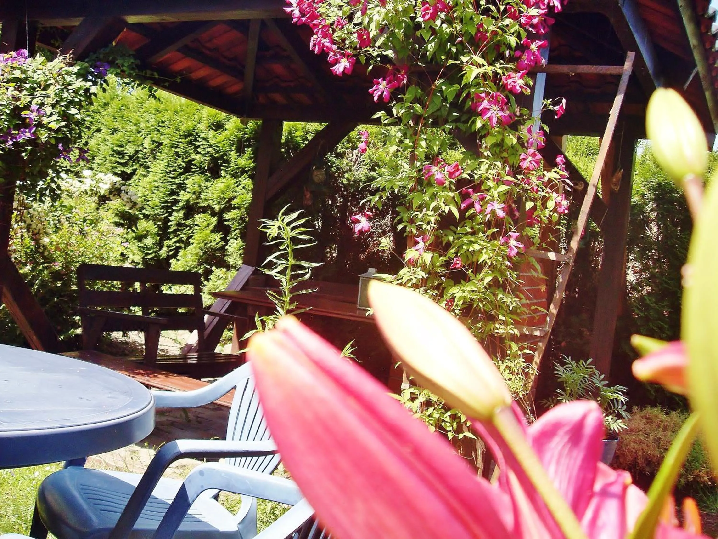 Activities in Willa Cyklada, grill, śniadania, jezioro,przystań,tawerna-200m, park linowy-400m, centrum,aquapark-900m