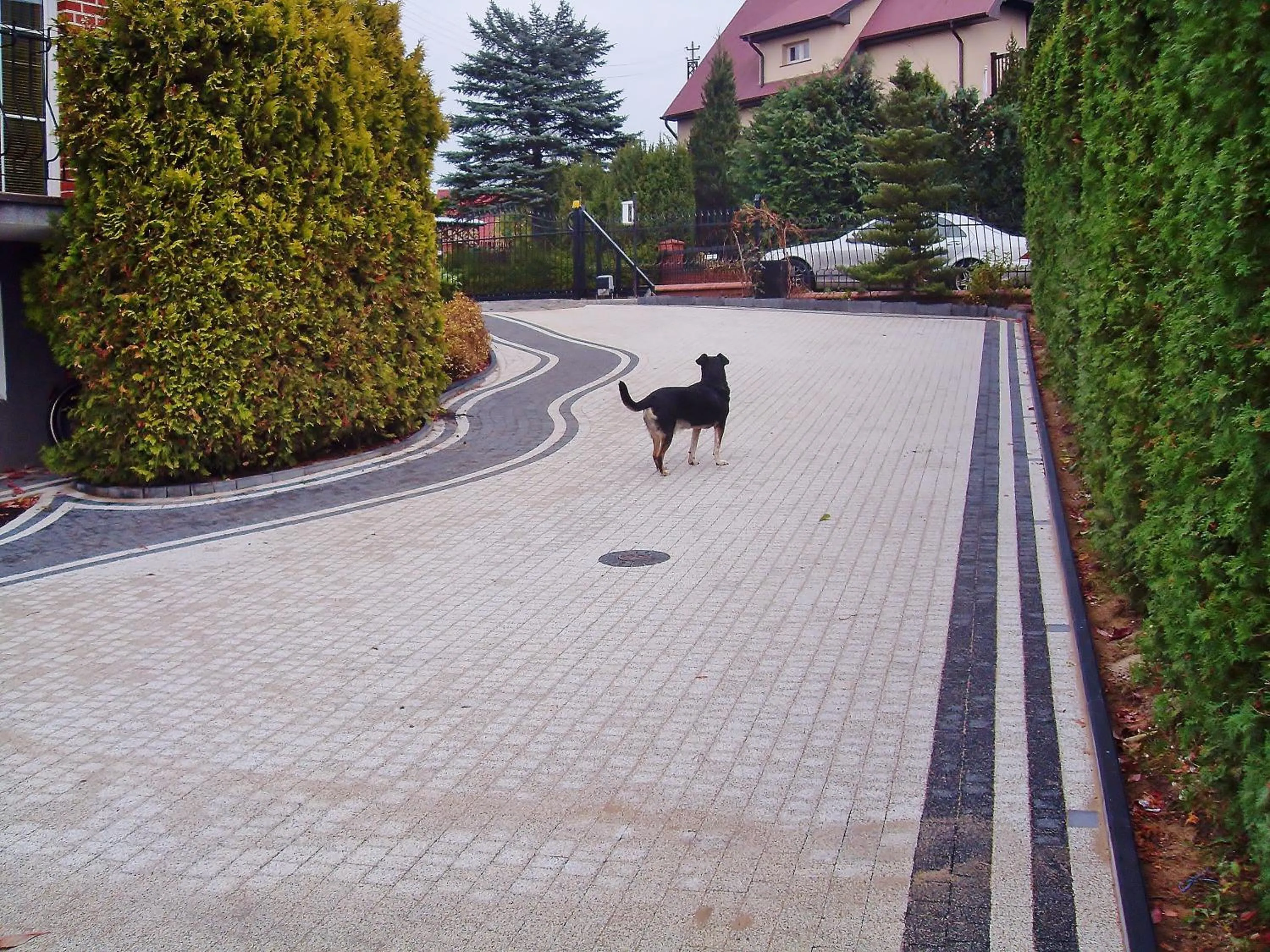 Pets in Willa Cyklada, grill, śniadania, jezioro,przystań,tawerna-200m, park linowy-400m, centrum,aquapark-900m