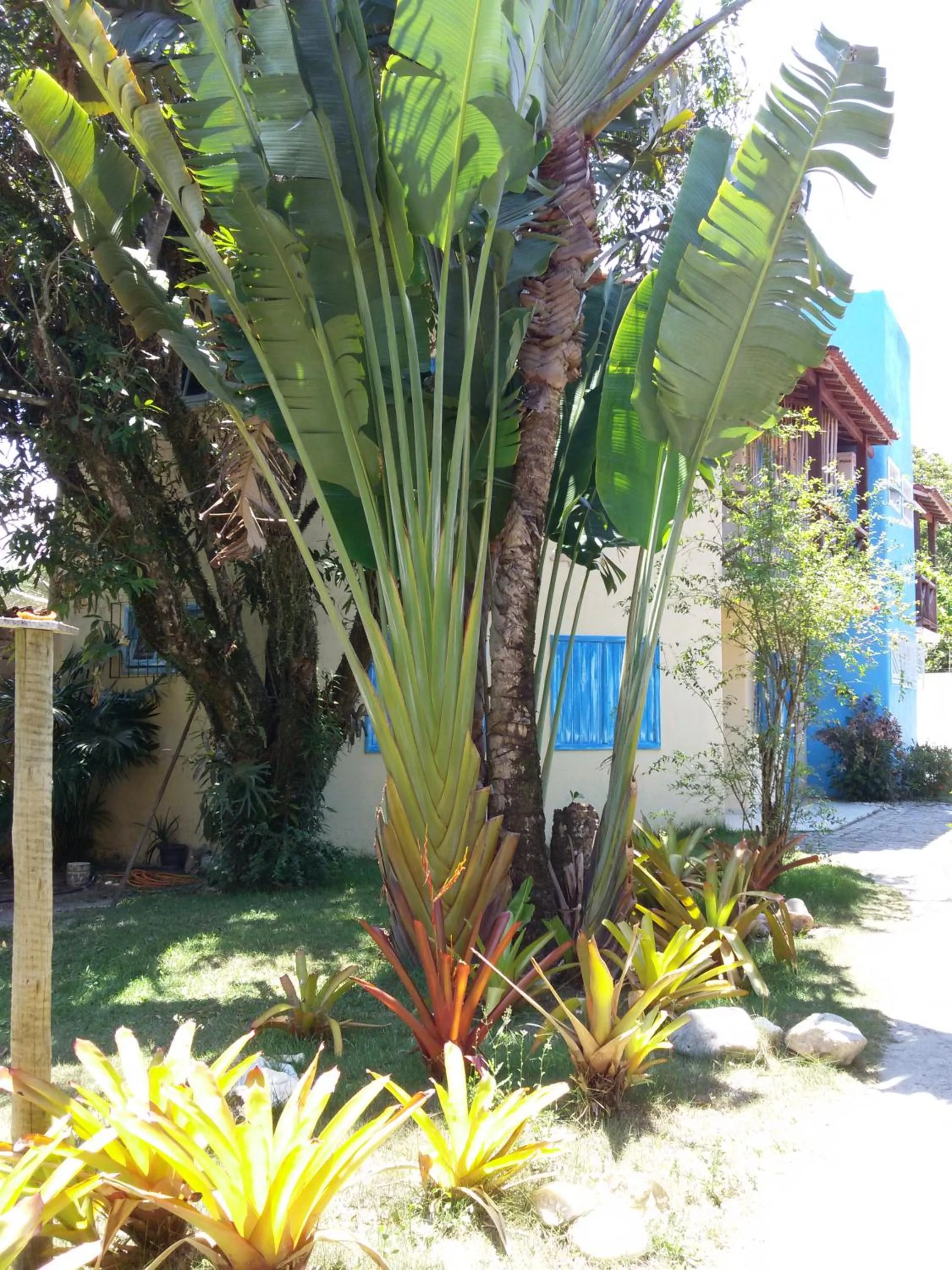 Garden in Pousada Varanda do Sol