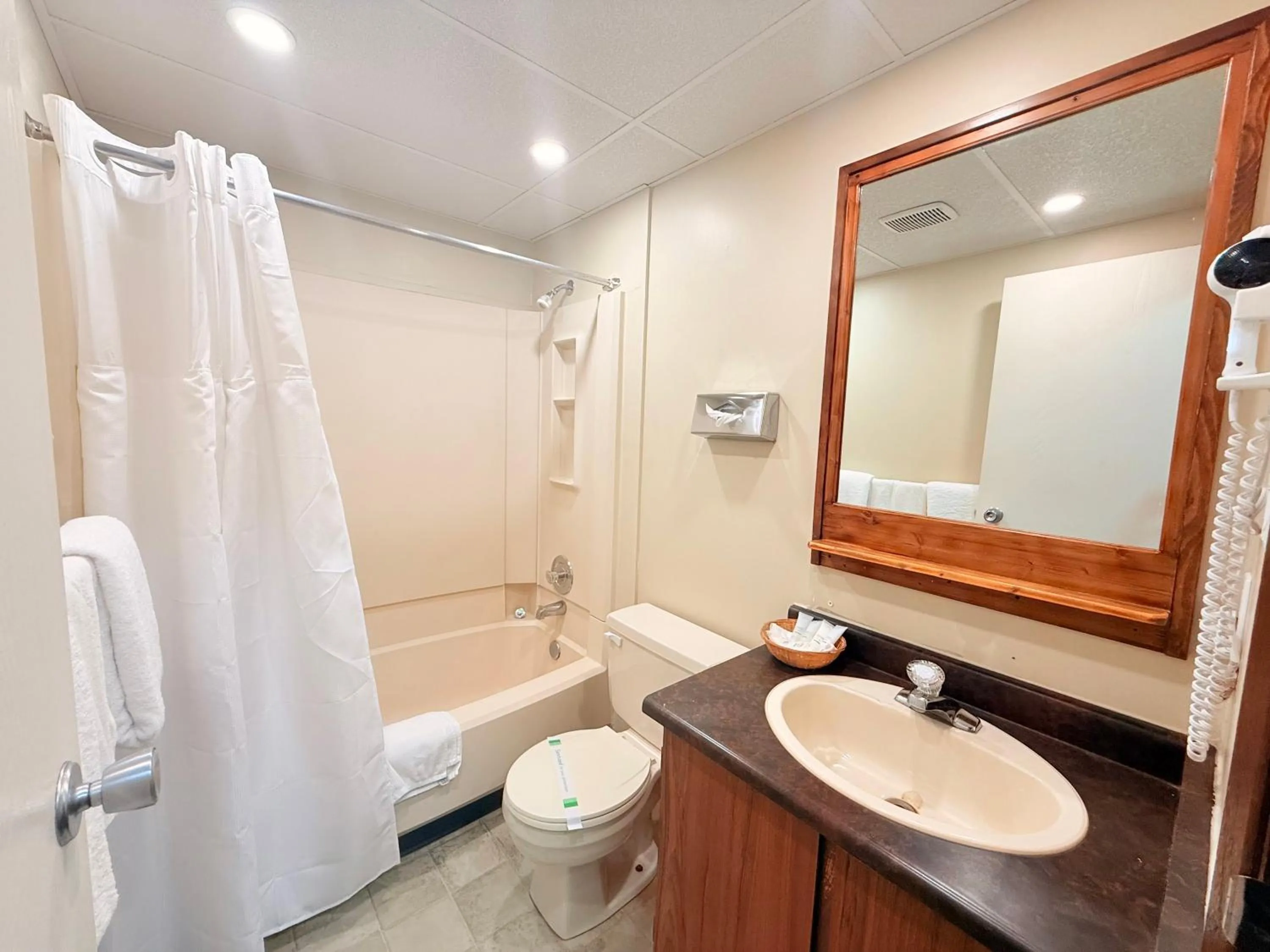 Bathroom in Capri Motor Inn