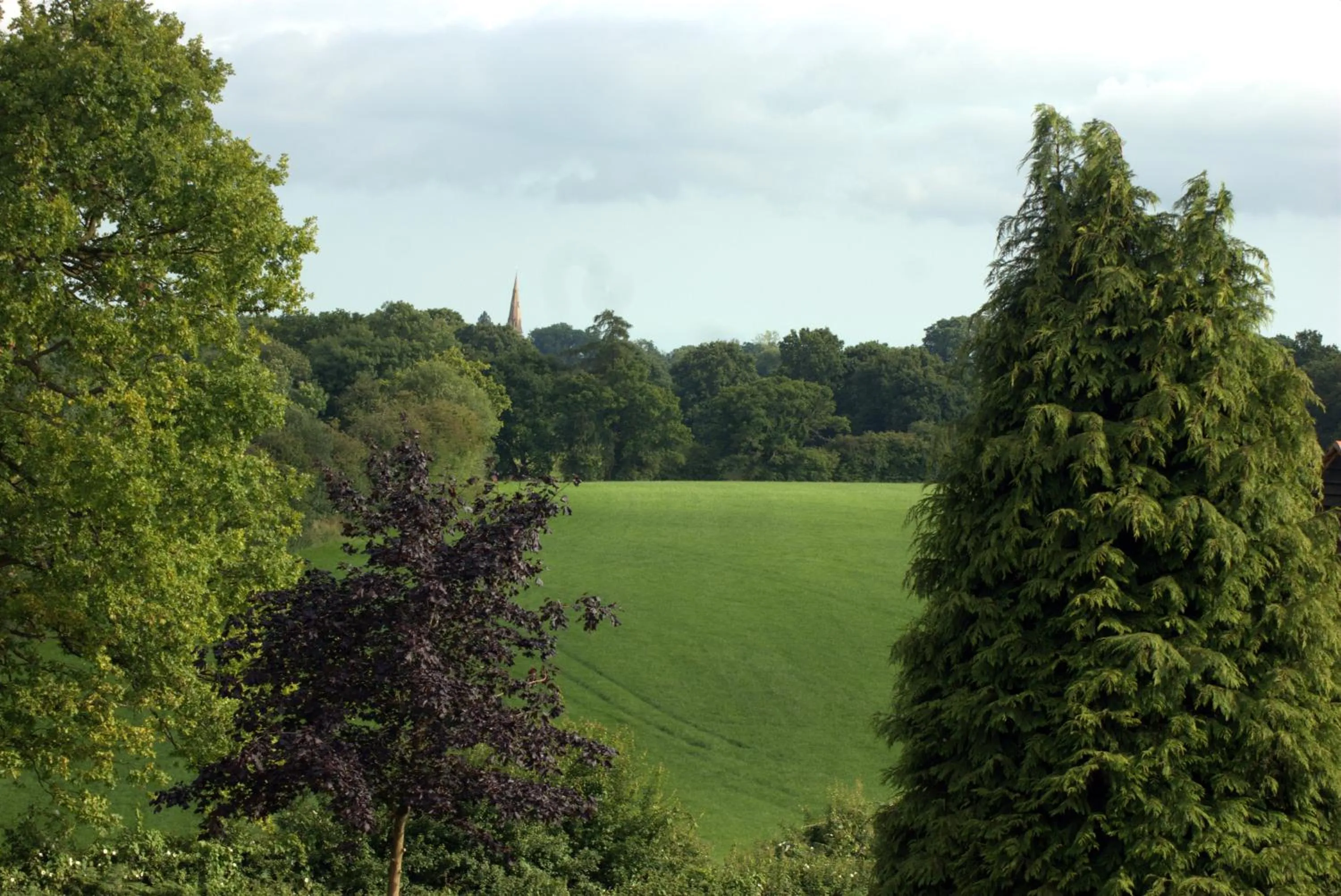 Area and facilities in The Angel Hotel