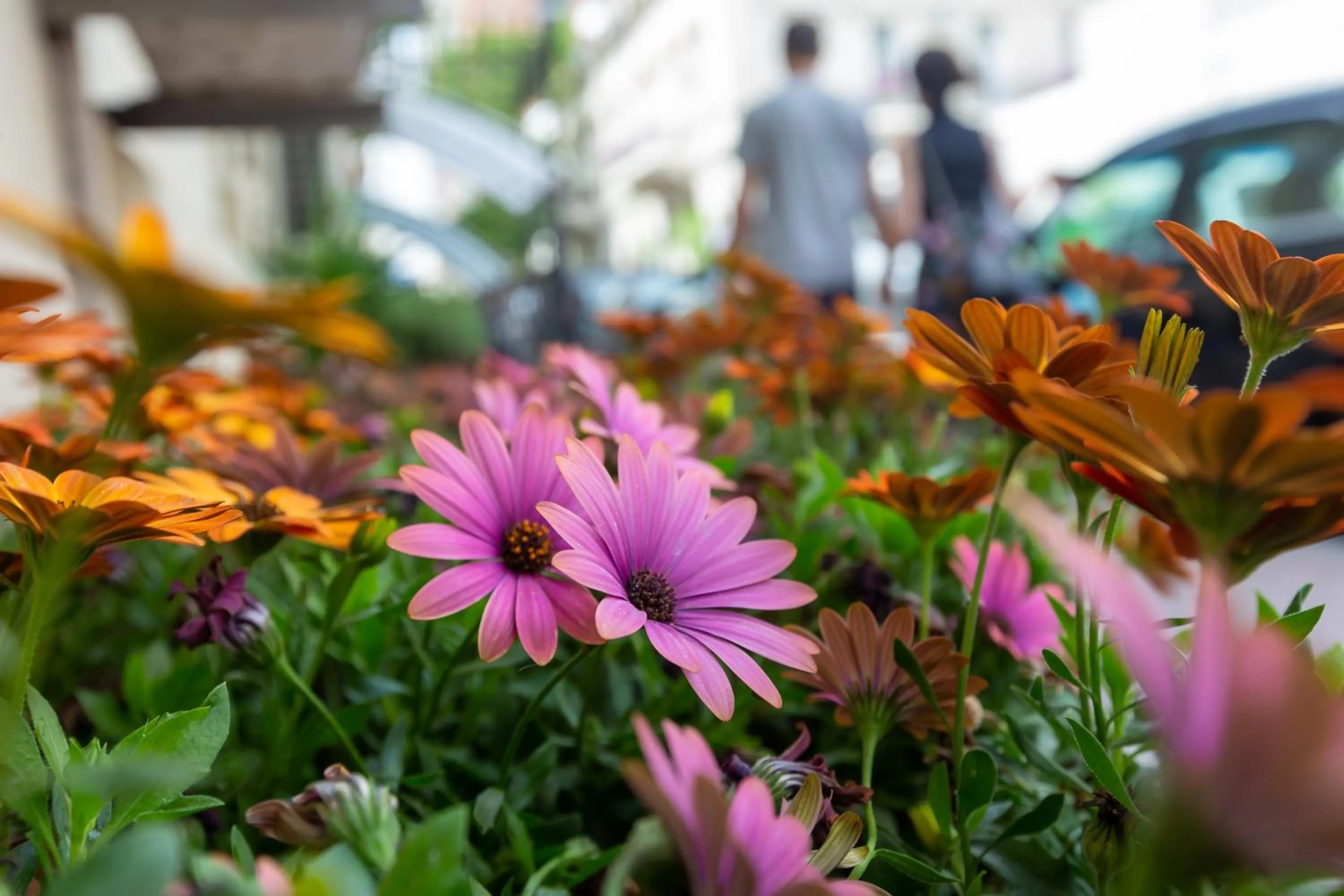 Facade/entrance in Seven Boutique Hotel Baku
