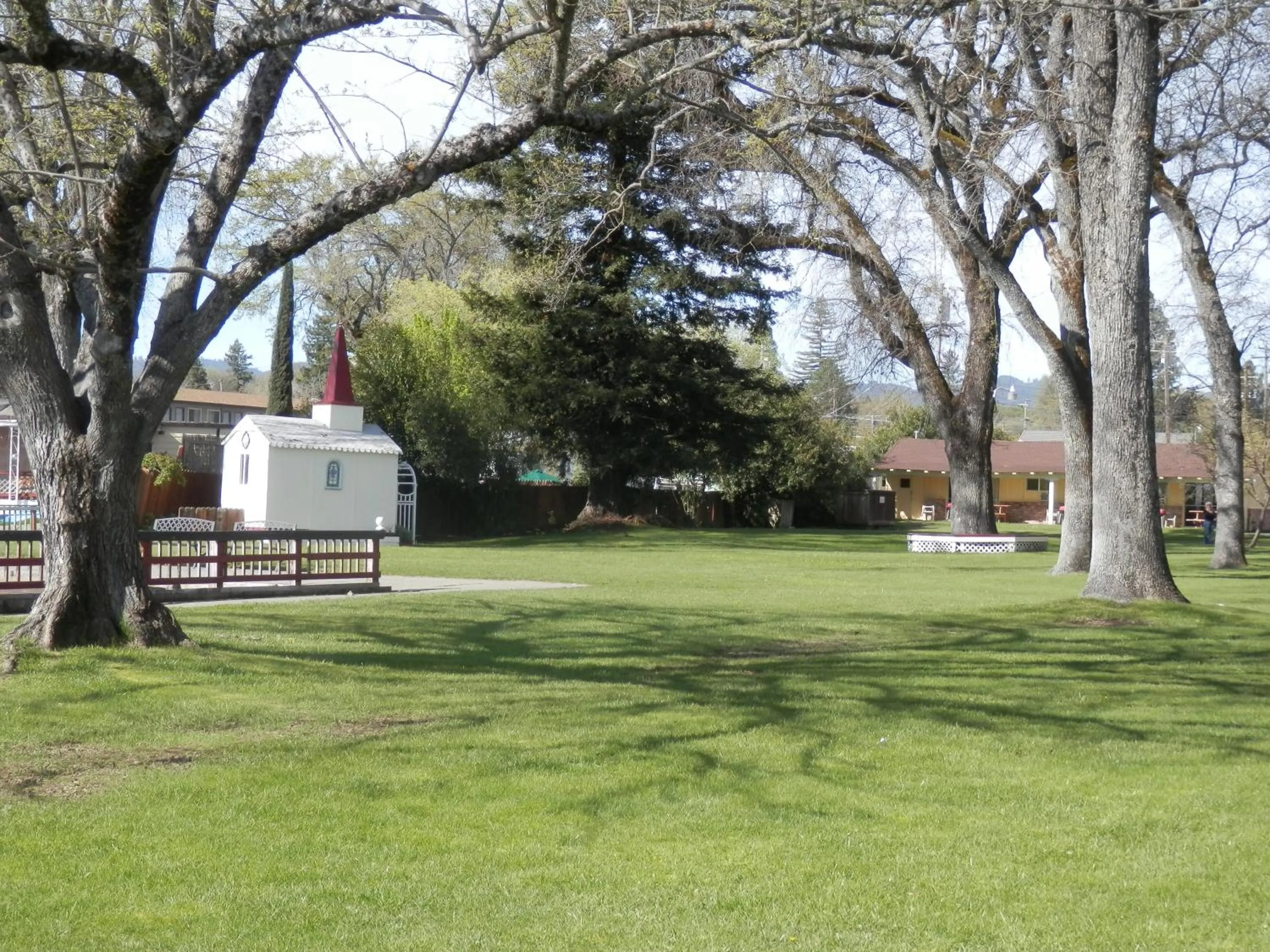 Natural landscape in Skylark Shores Resort