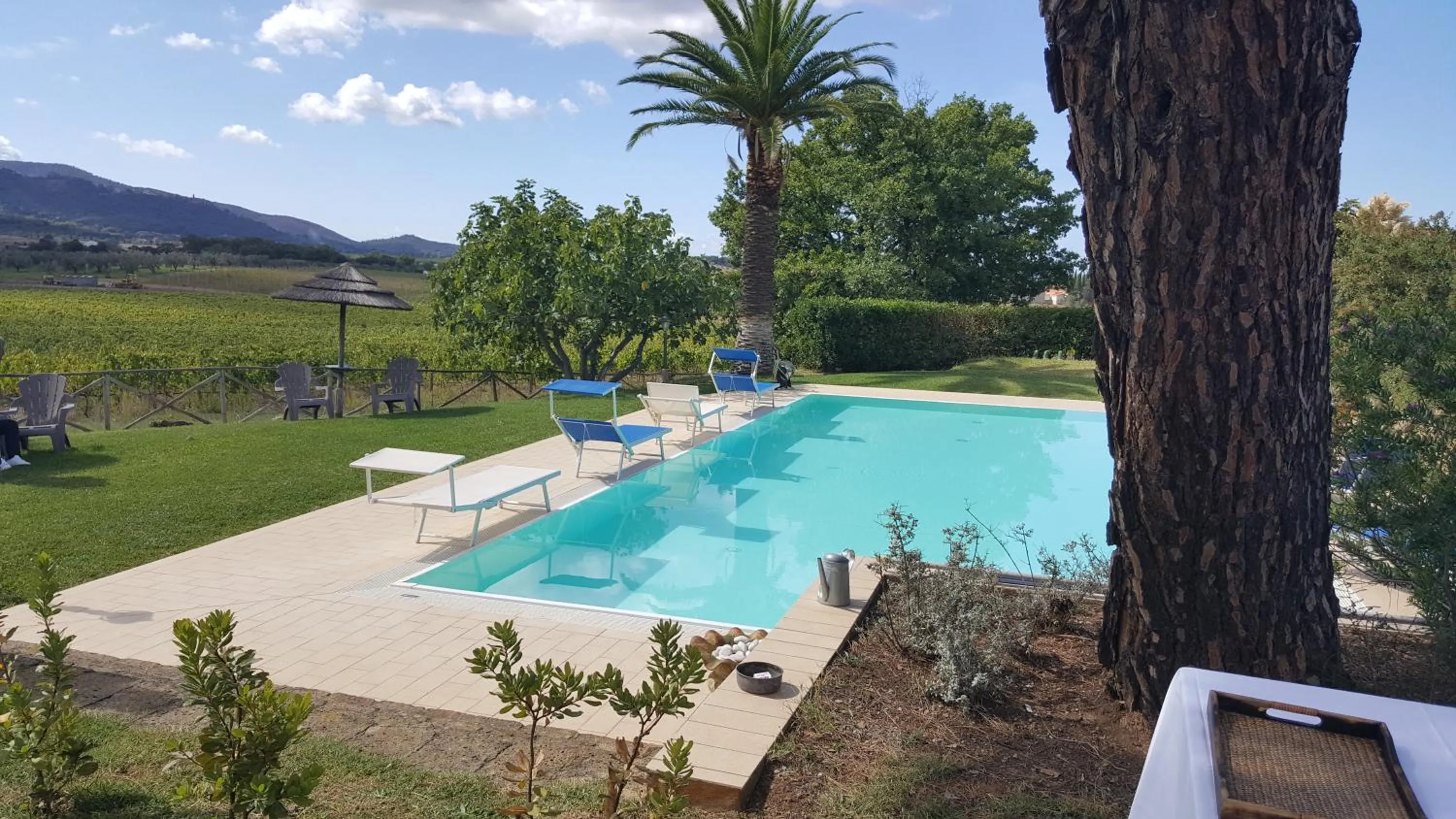 Pool view in La Locanda della Vecchia Hosteria