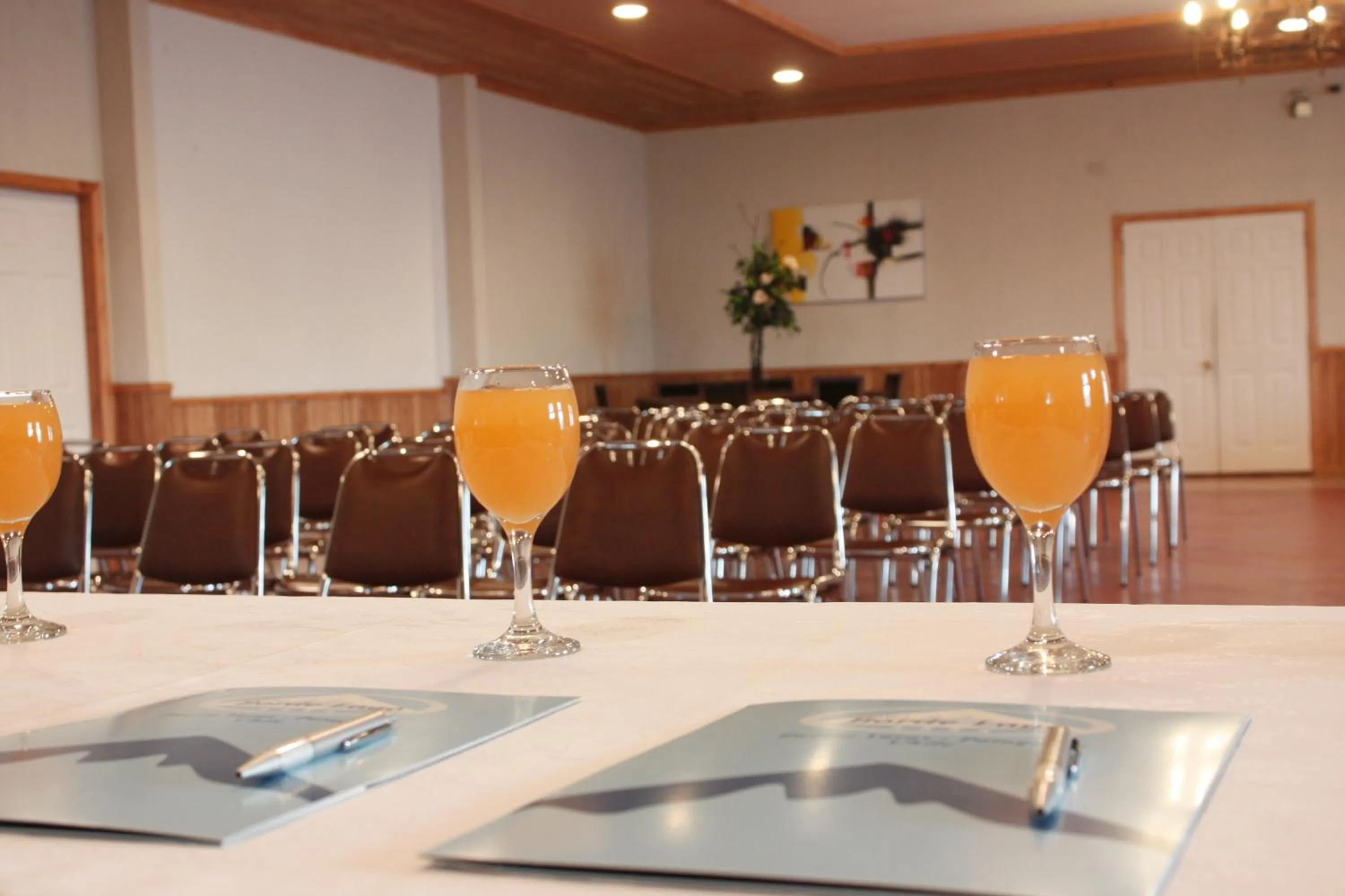 Meeting/conference room in Hotel Borde Lago