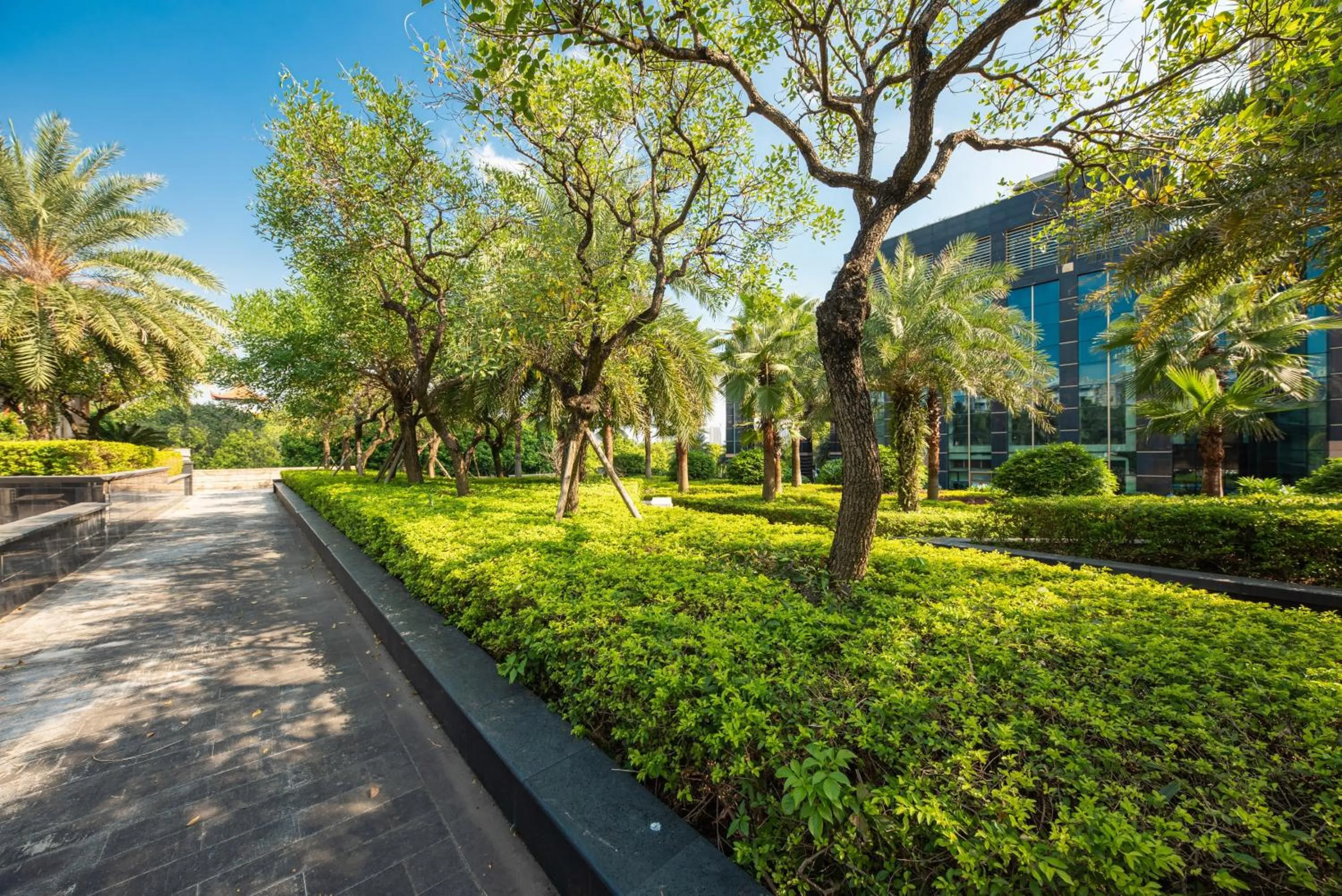 Other in Shenzhen LANGYUE International Hotel