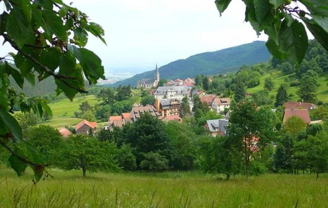 Natural landscape in Hôtel du Haut Koenigsbourg- entre vignes et château