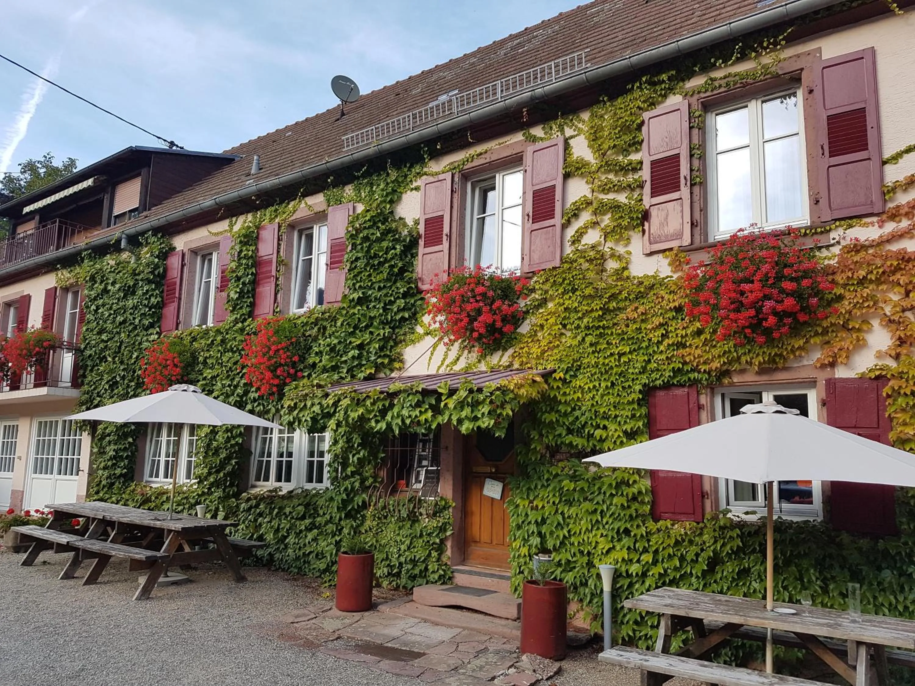 Property building in Hôtel du Haut Koenigsbourg- entre vignes et château