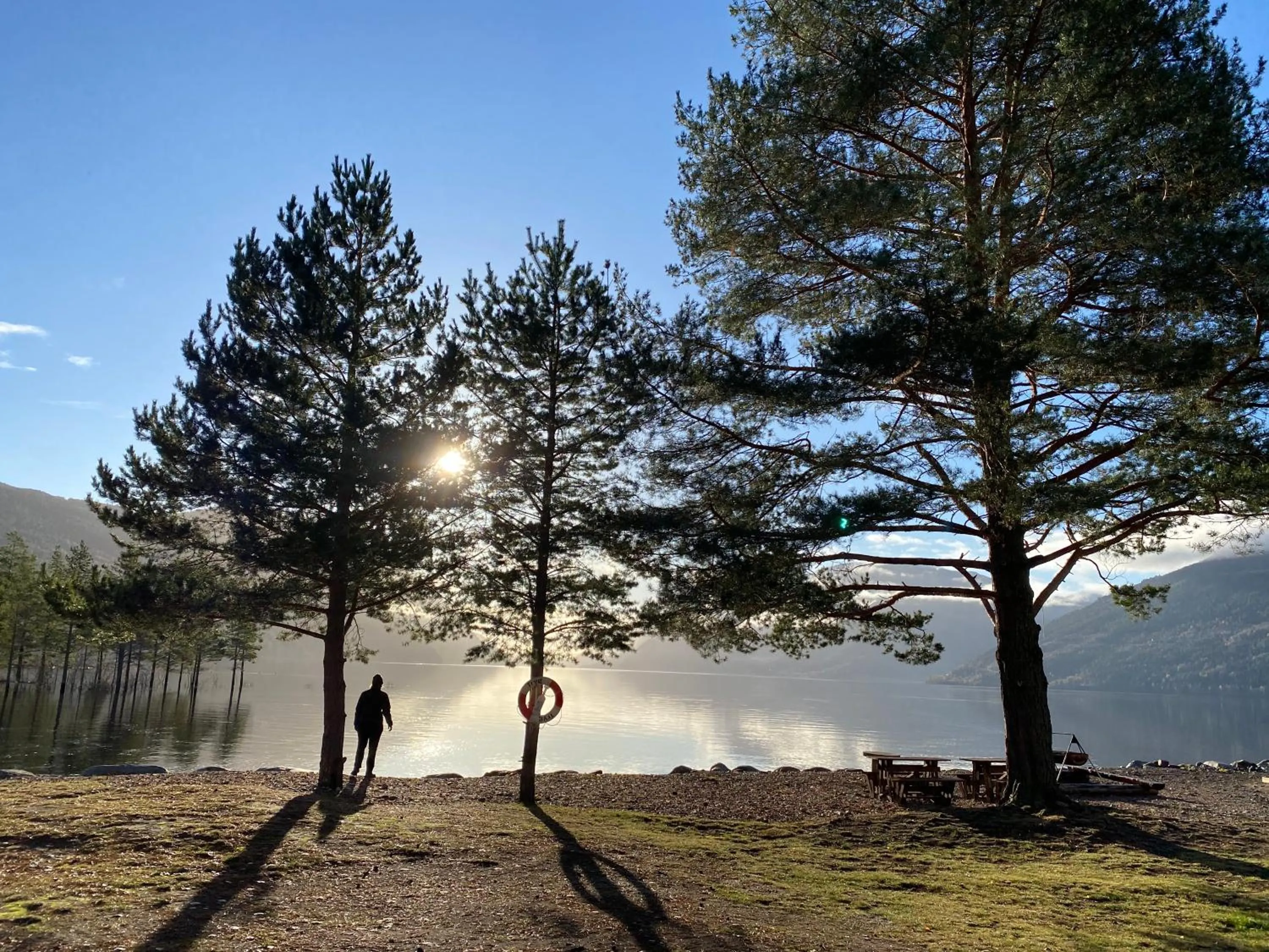 Natural landscape in Sandviken Camping