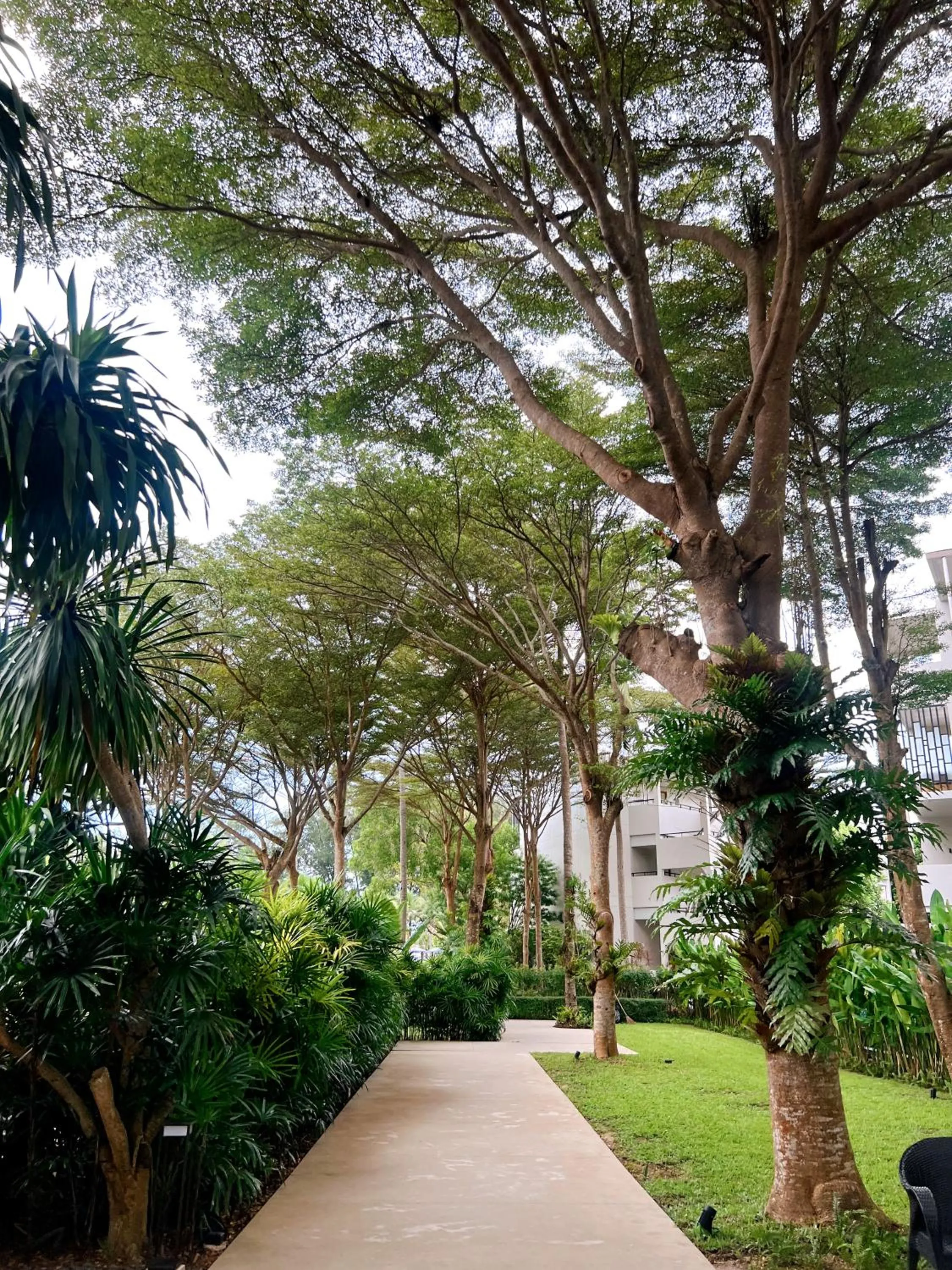 Day in Le Meridien Phuket Mai Khao Beach Resort