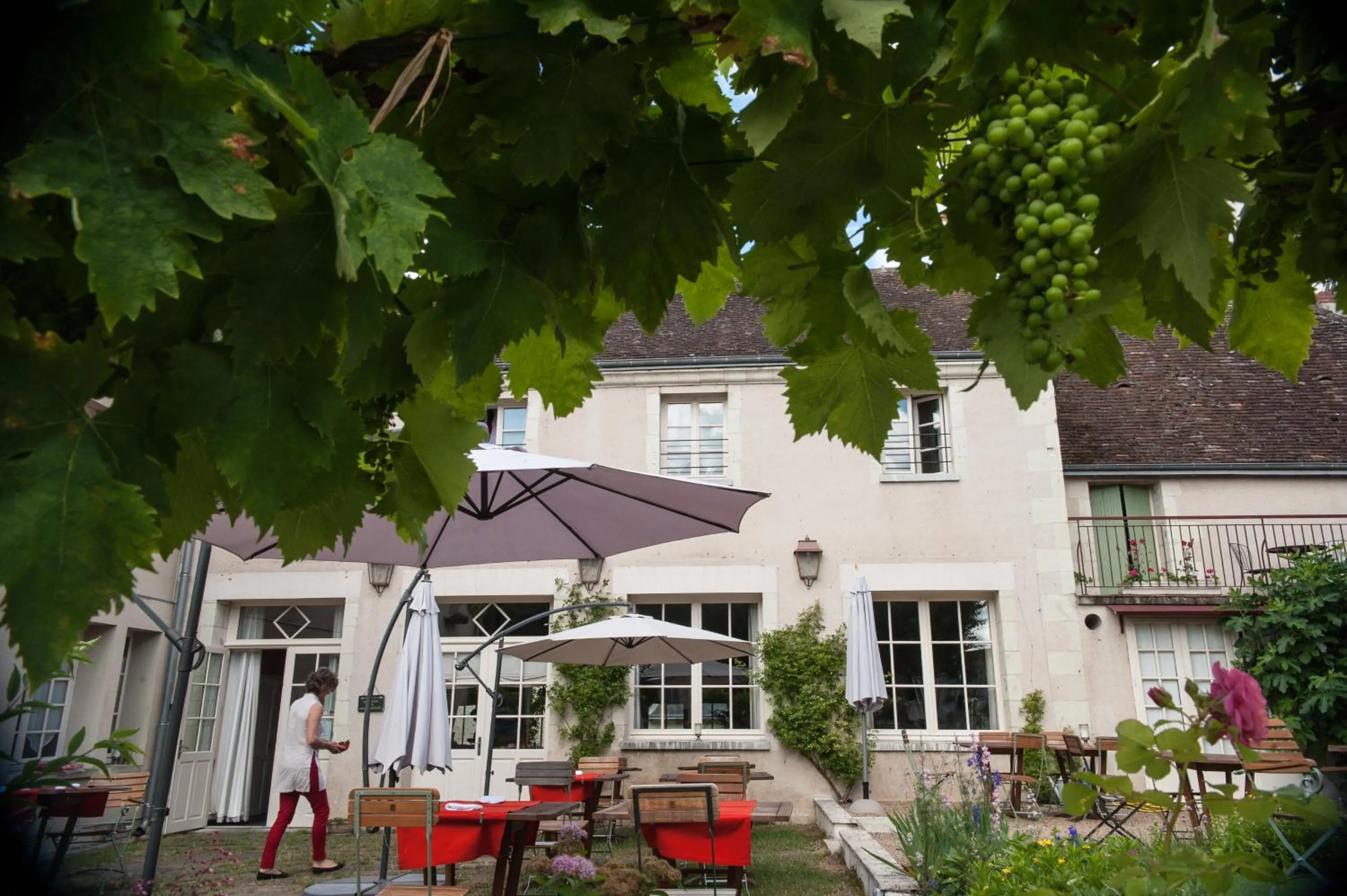 Garden in Logis Hôtel Restaurant Relais de la Mothe