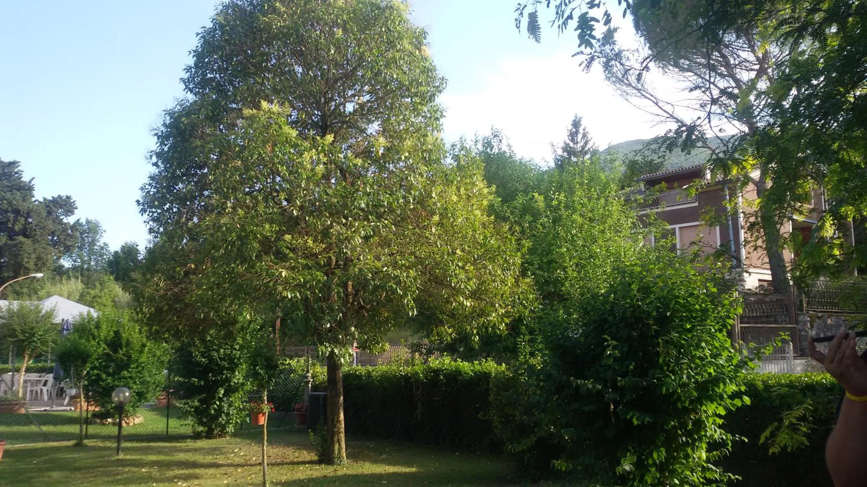 Property building in Hotel Le Vigne