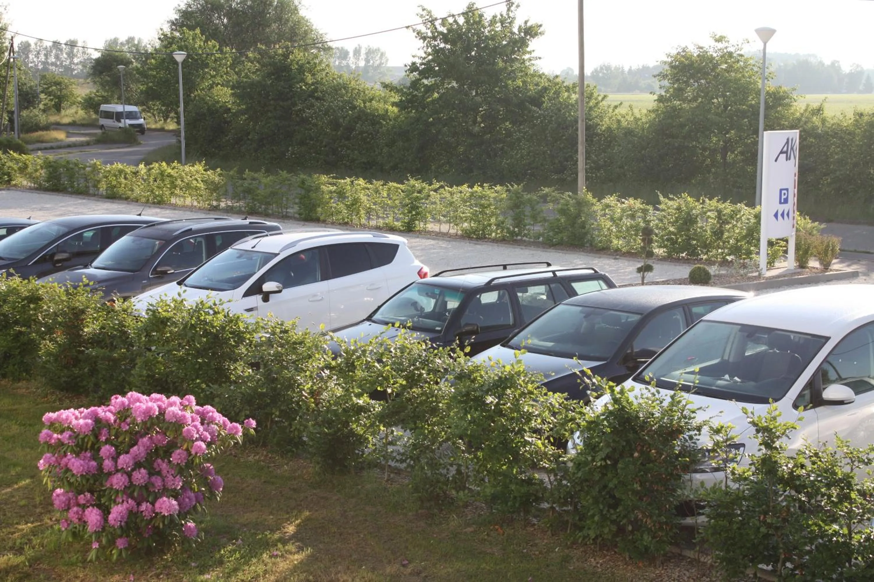 Spring in AK 1 Hotel