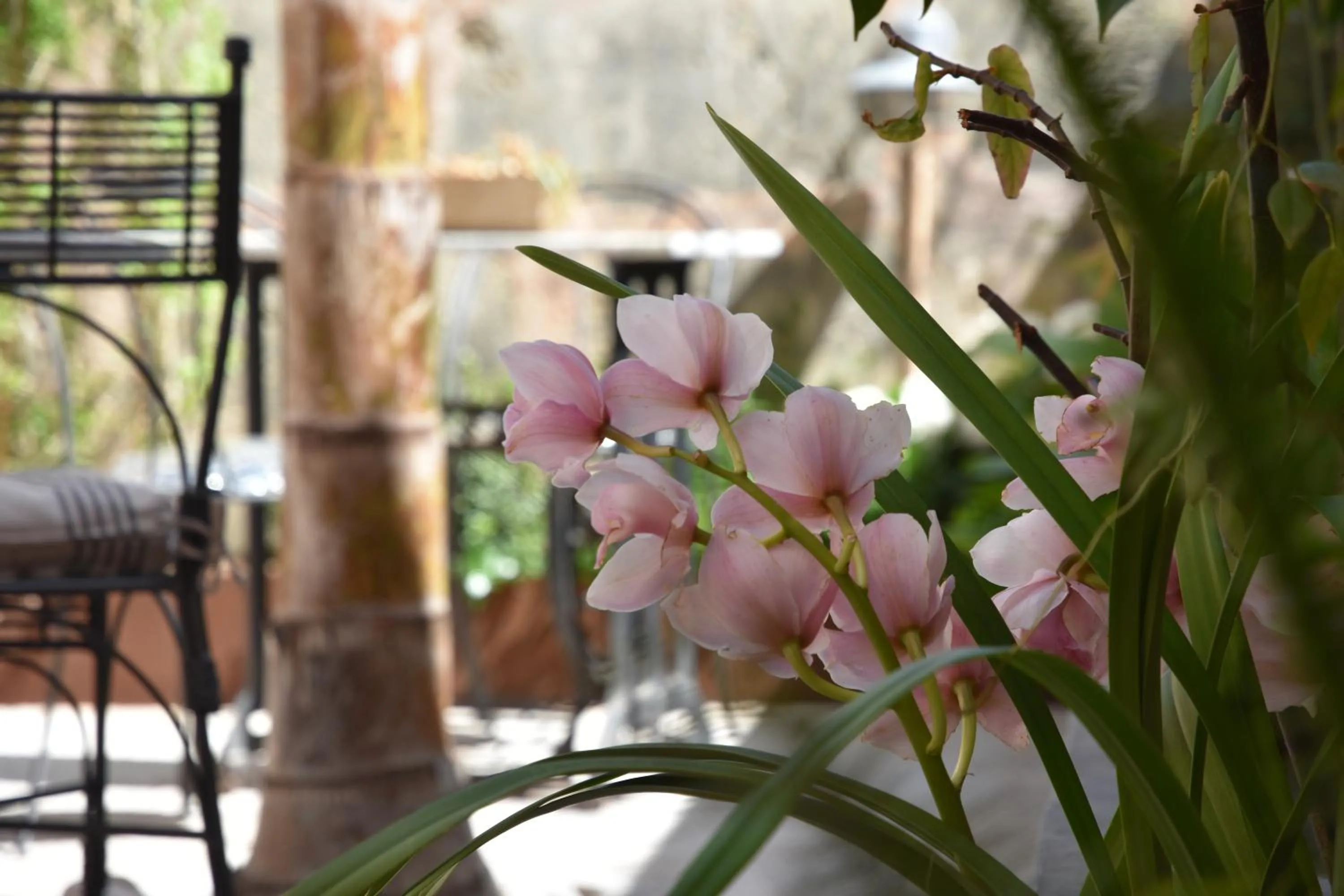 Property building in Ecocirer Healthy Stay