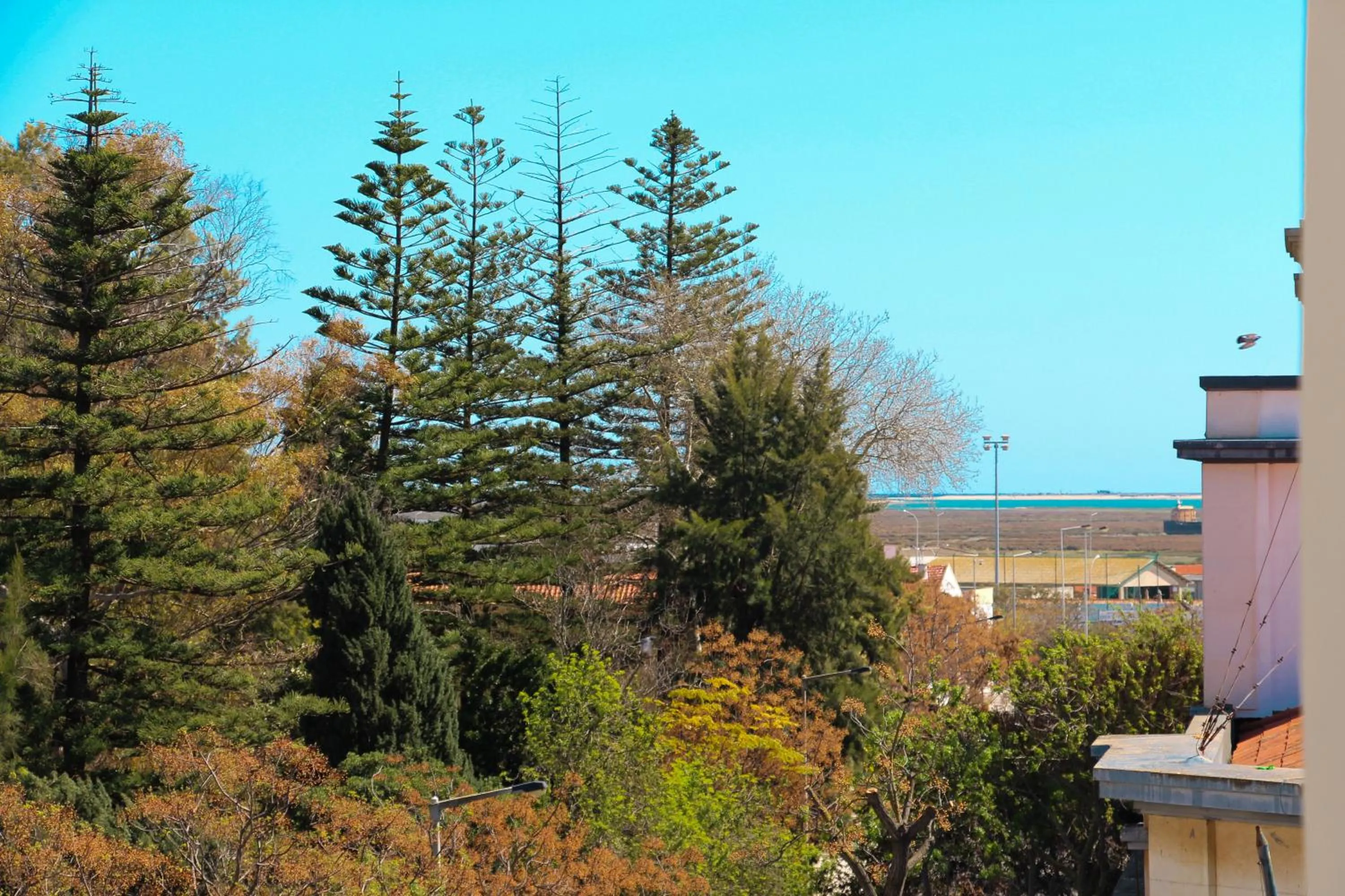Alameda Garden