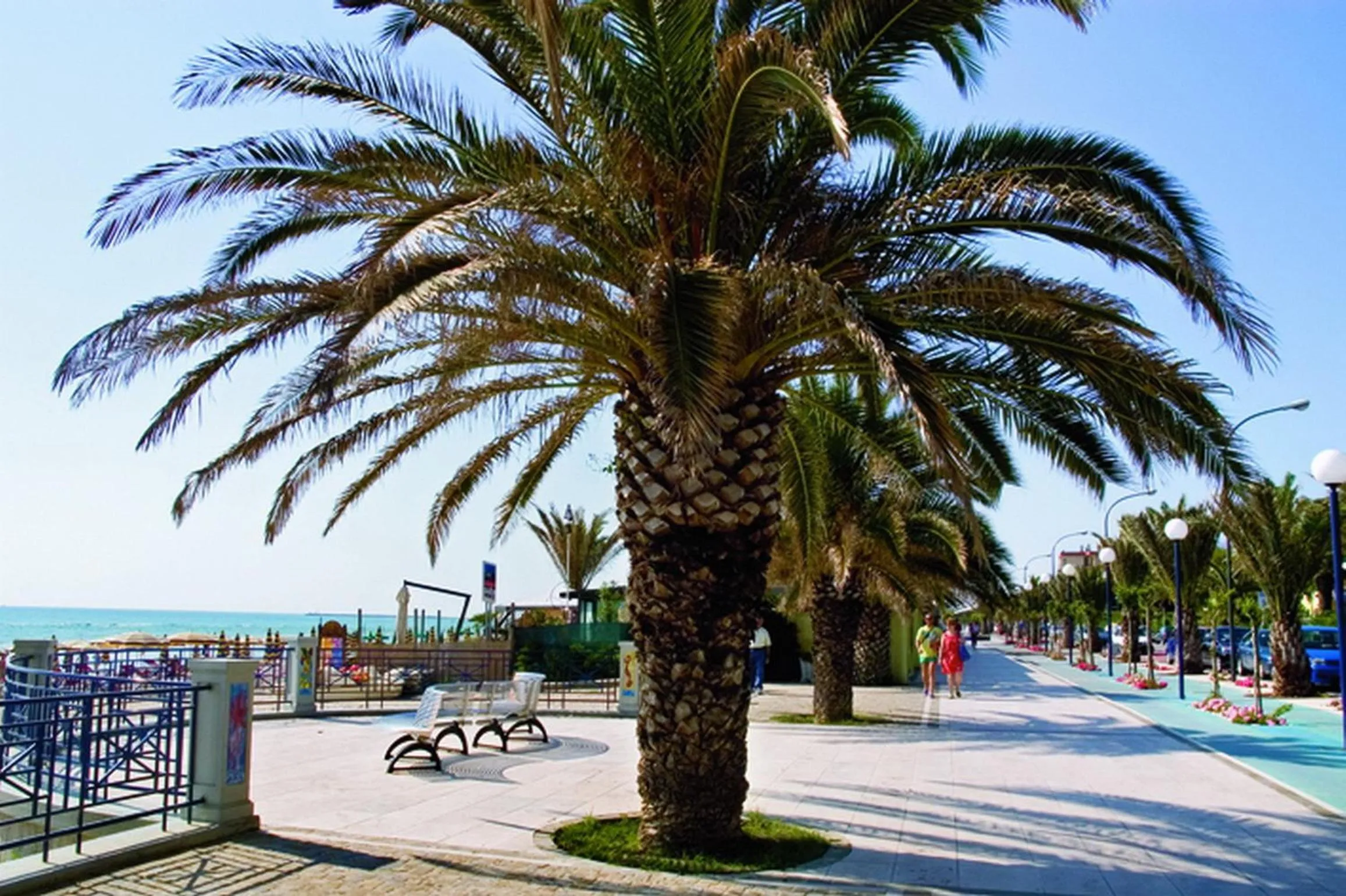 Area and facilities in La Torretta sul Borgo