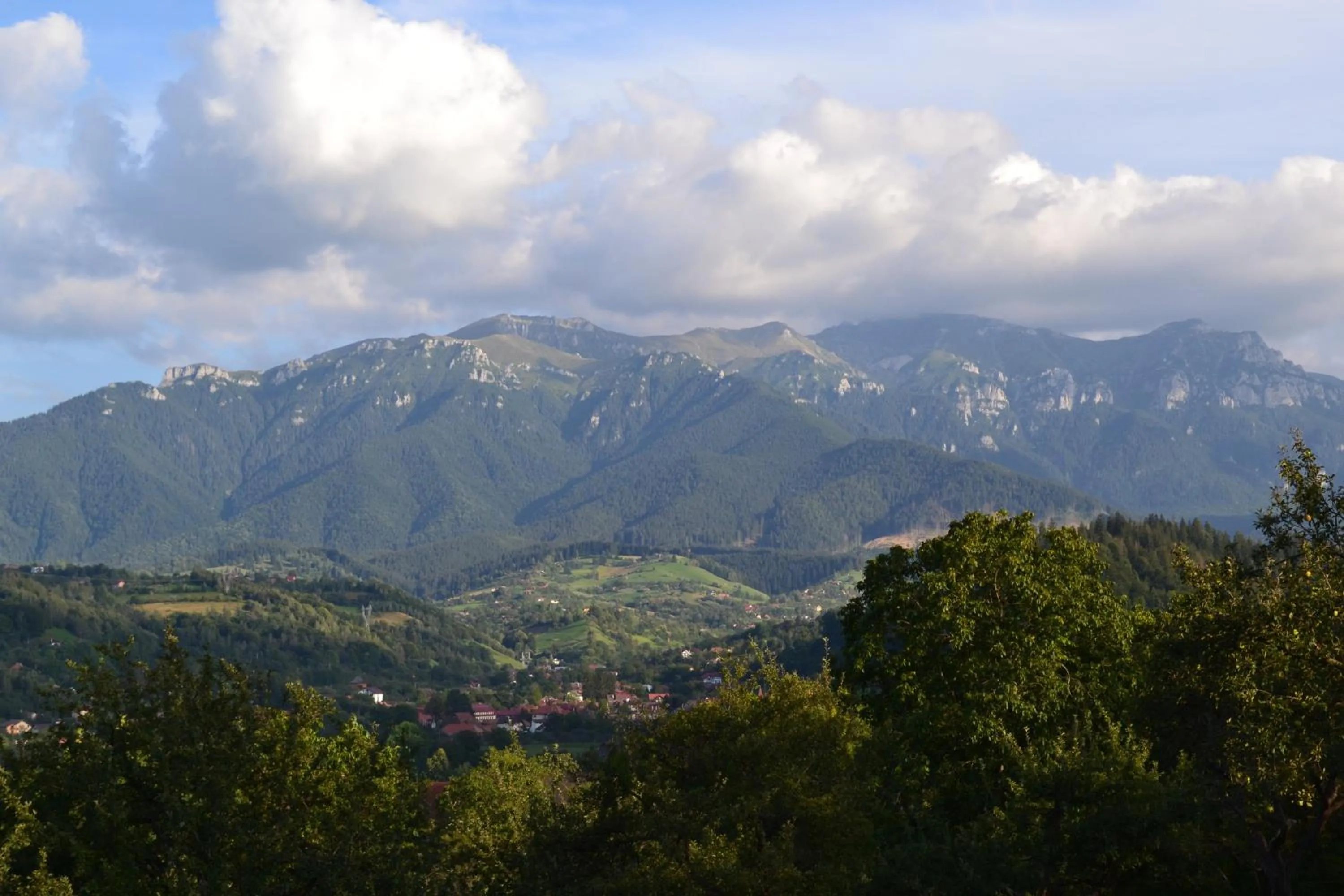 View (from property/room) in Transylvanian Inn